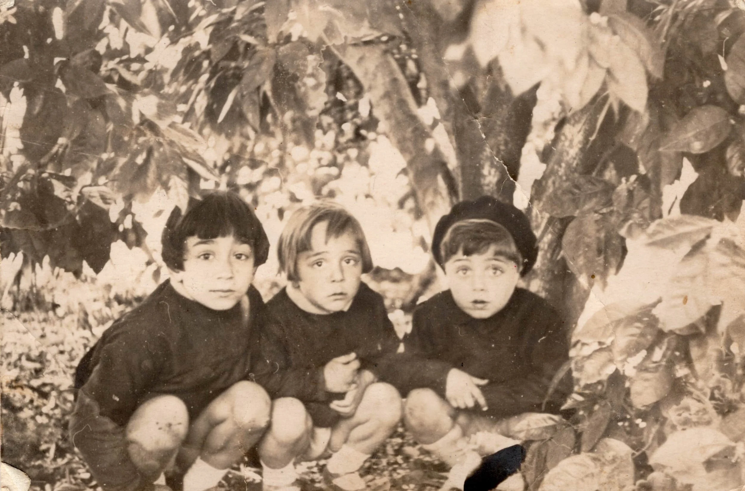 Siblings Michel (left) and Robert (center) Berouti with their cousin, Alexandre Beyrouti, Jaffa, ca. 1935