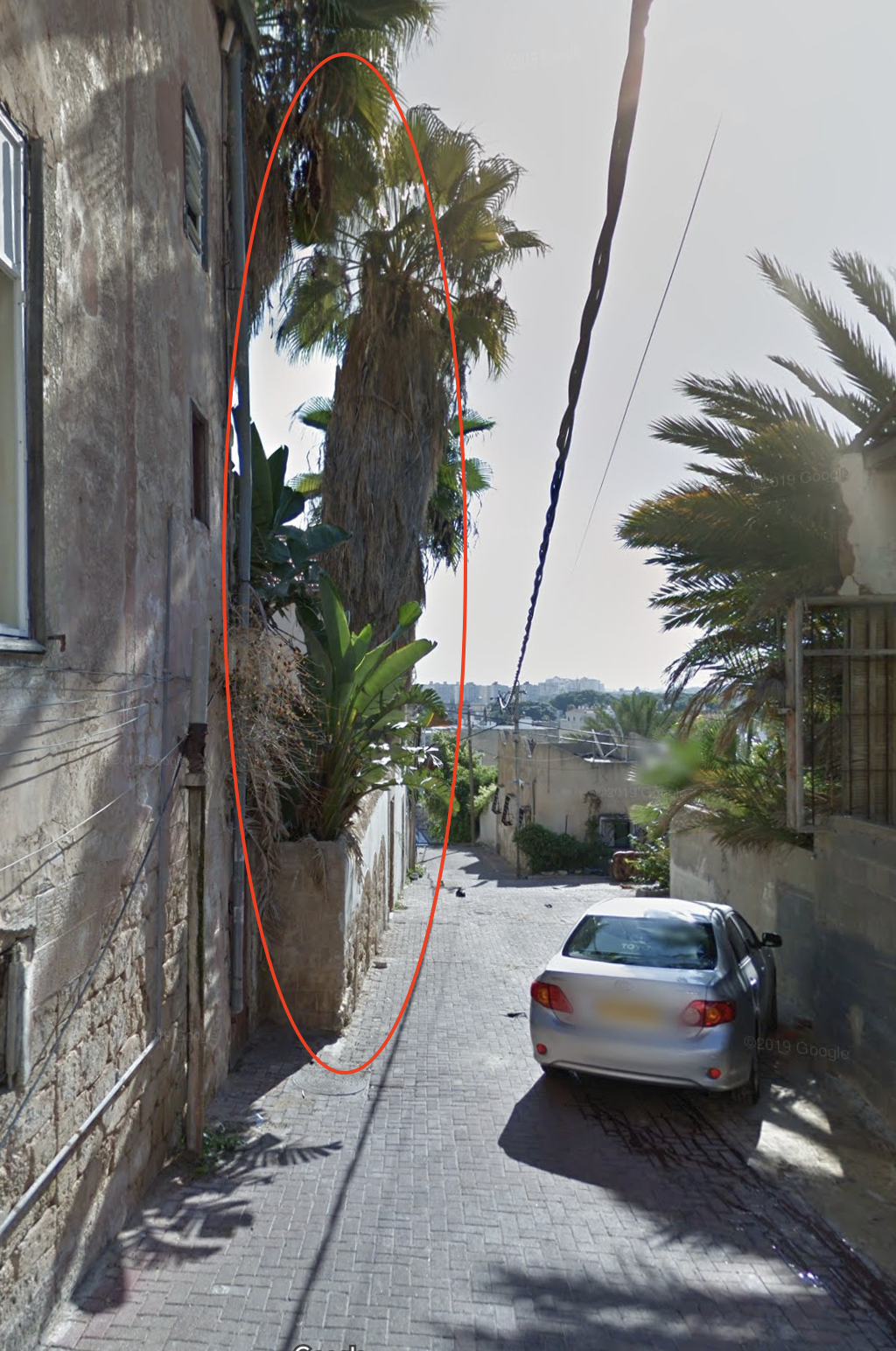 Sayegh house, Jaffa, 1948