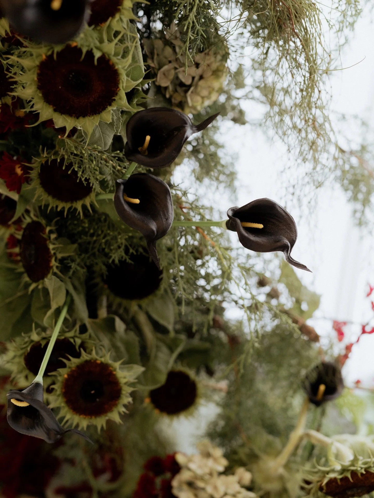 Moody florals with a sculptural Dramatic edge 🥀 

Thanks @folklanephoto for capturing.