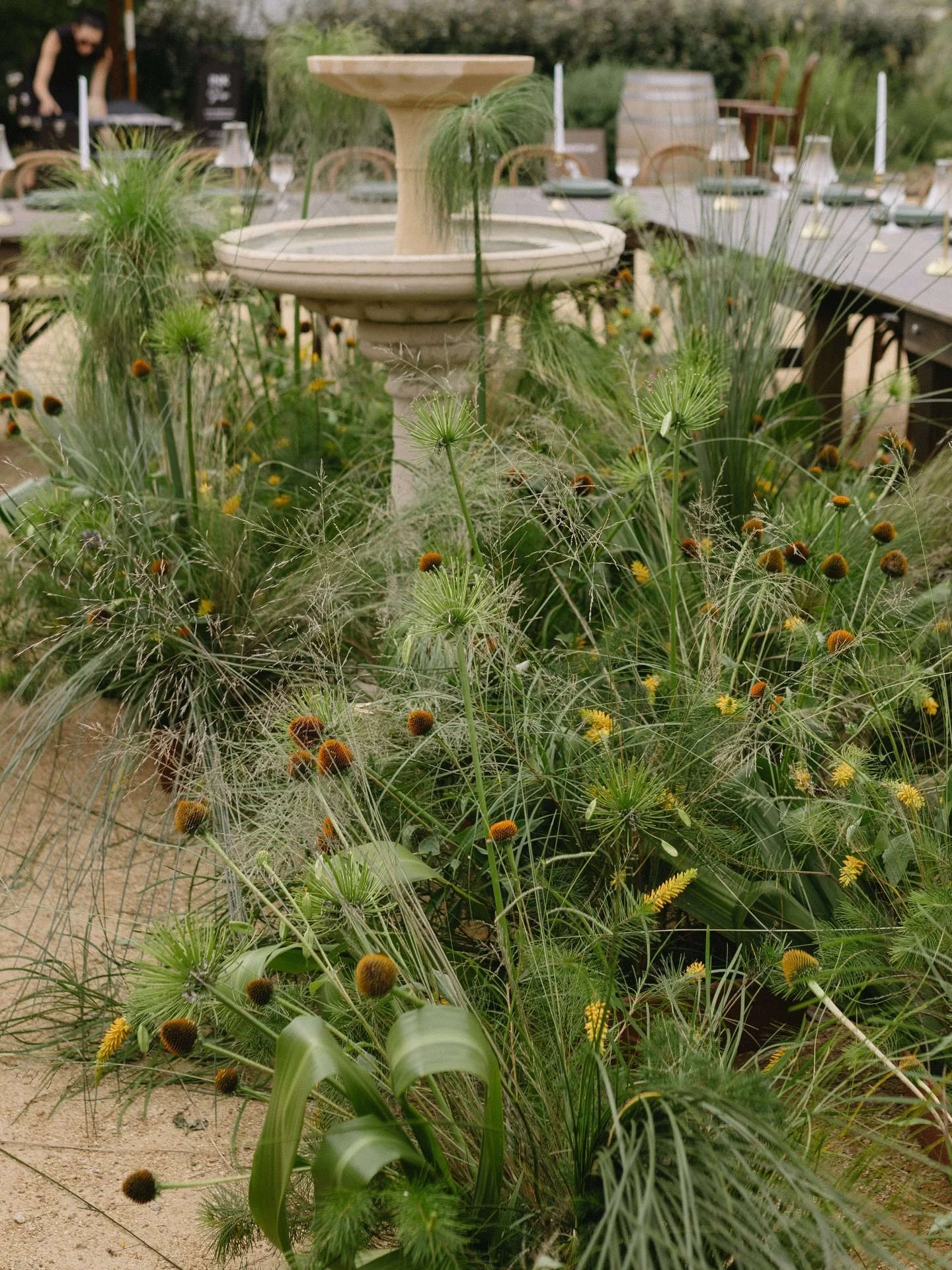 Letting the landscape lead.
Intentionally designed to showcase the beauty of Settlers Rest 🤎

📷@larissacluffcreative