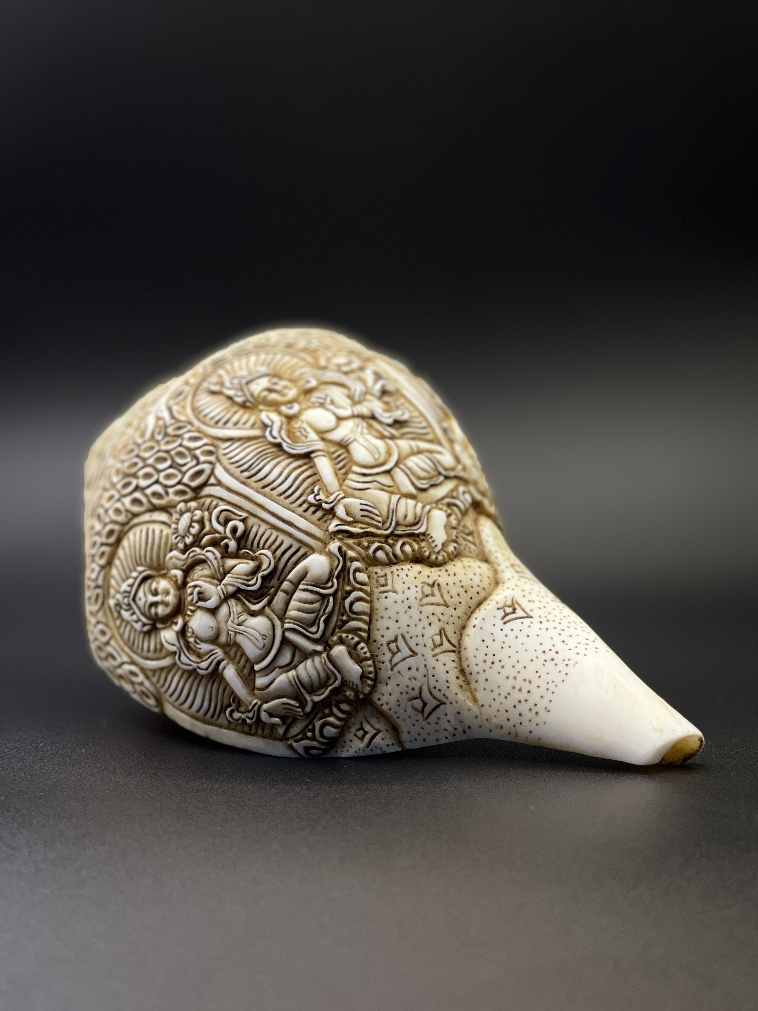 shell2.jpg