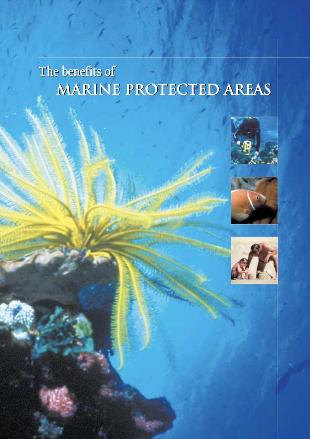 The Benefits of Marine Protected Areas