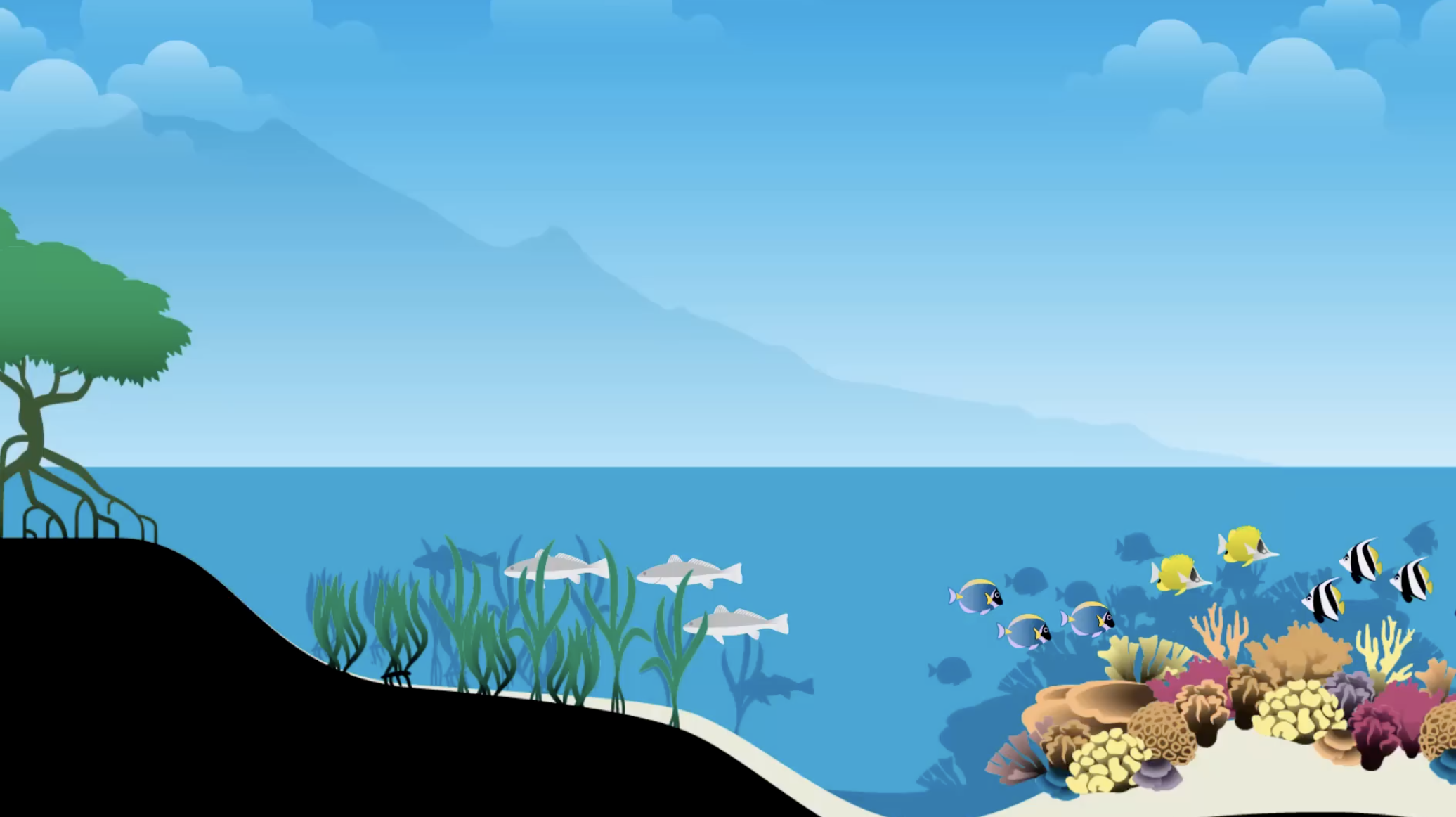 Marxan - How to choose marine reserves