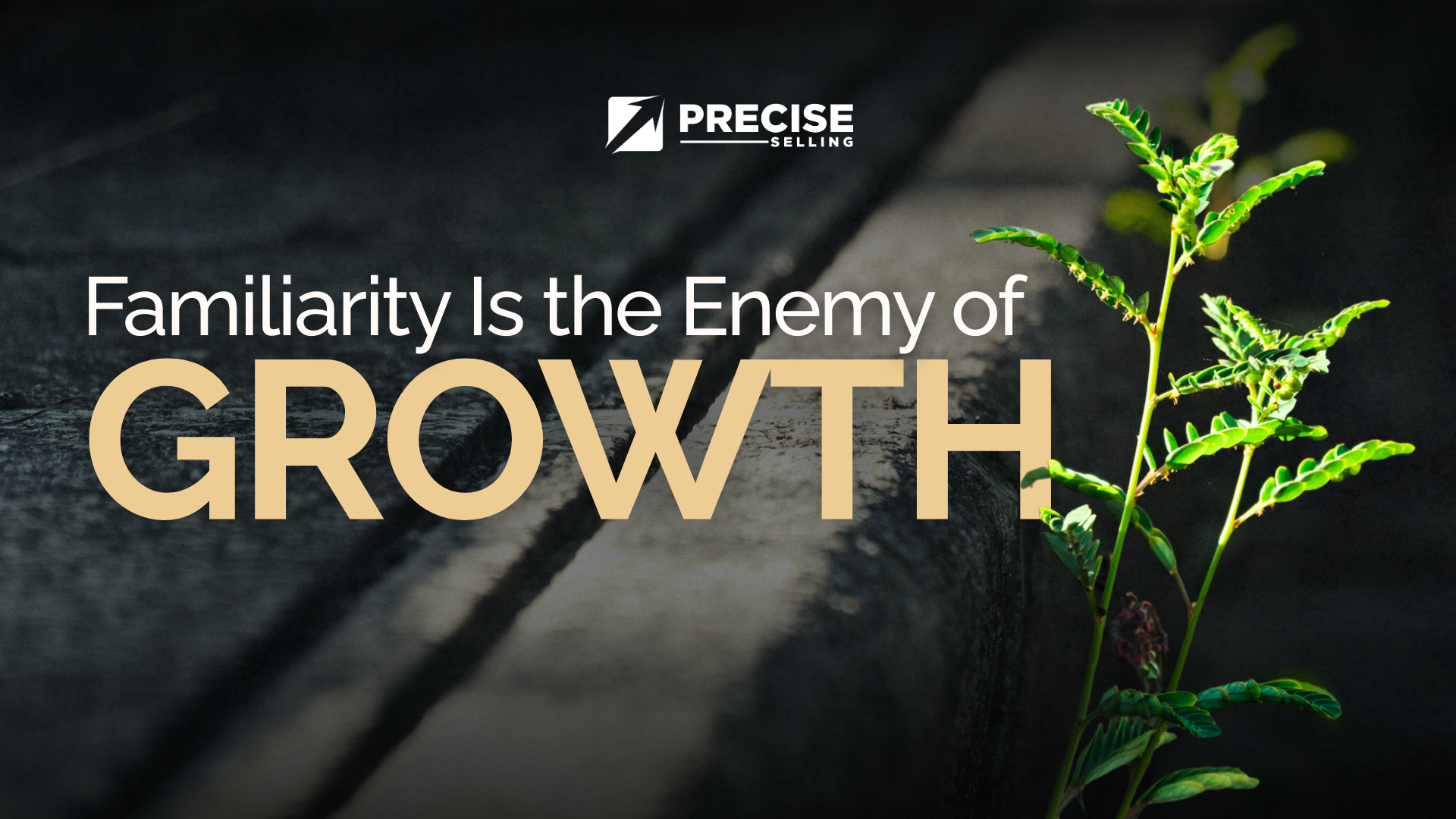 Familiarity Is the Enemy of Growth