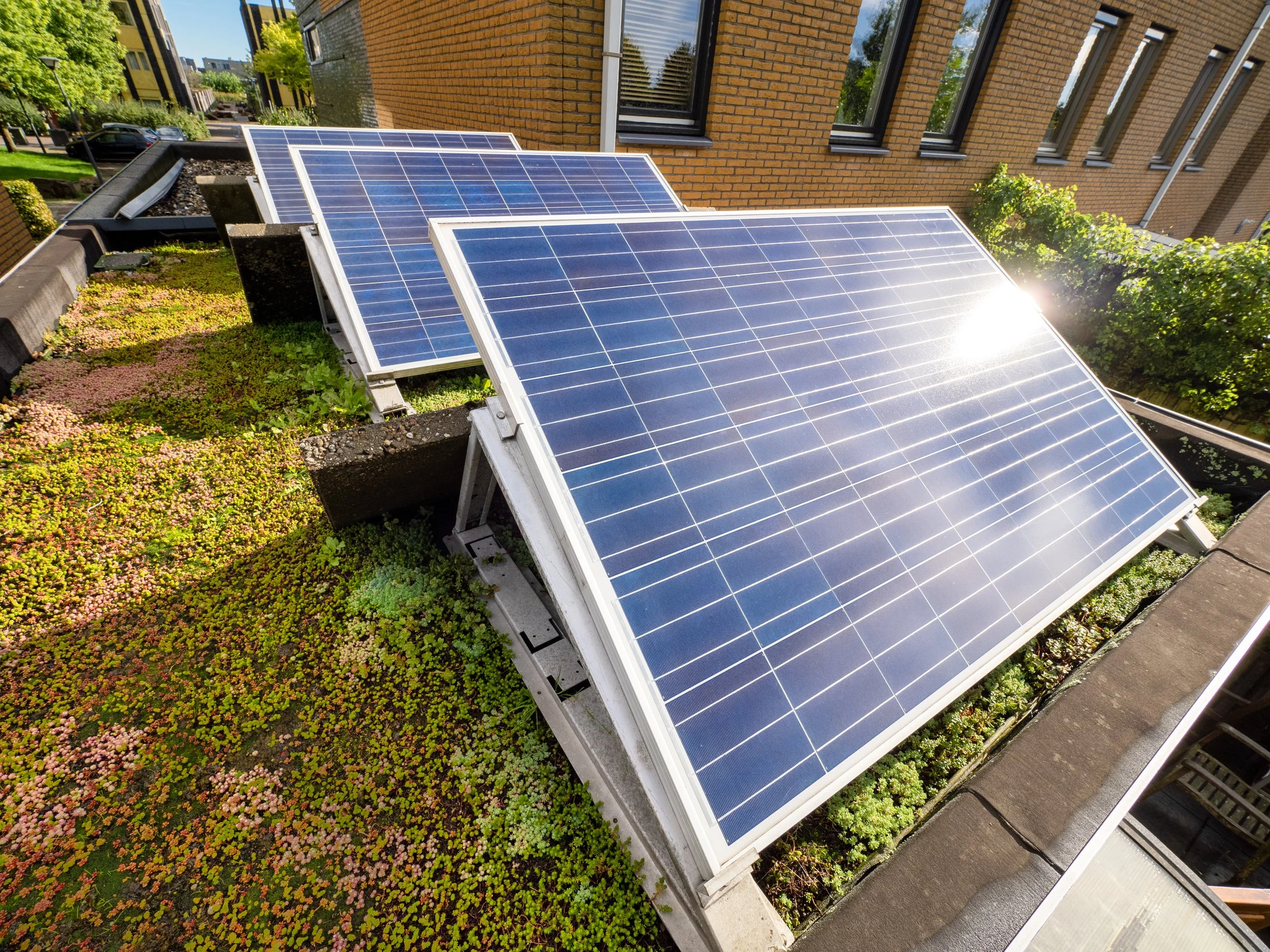 Oude zonnepanelen in Haarlemmermeer met hoge hoek op een plat dak.