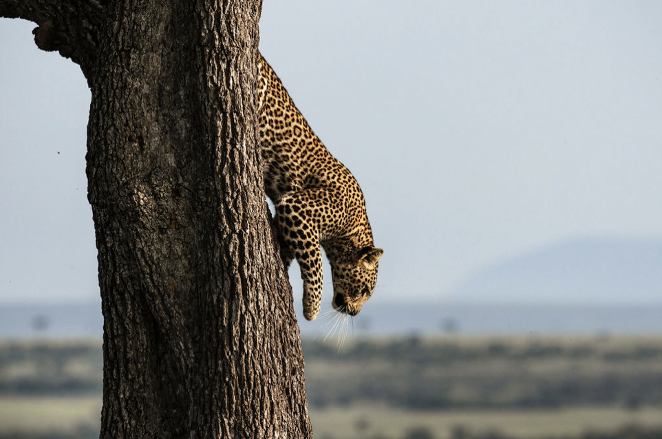 Legacy is the New Luxury: How the Next Generation is Rewilding Travel
