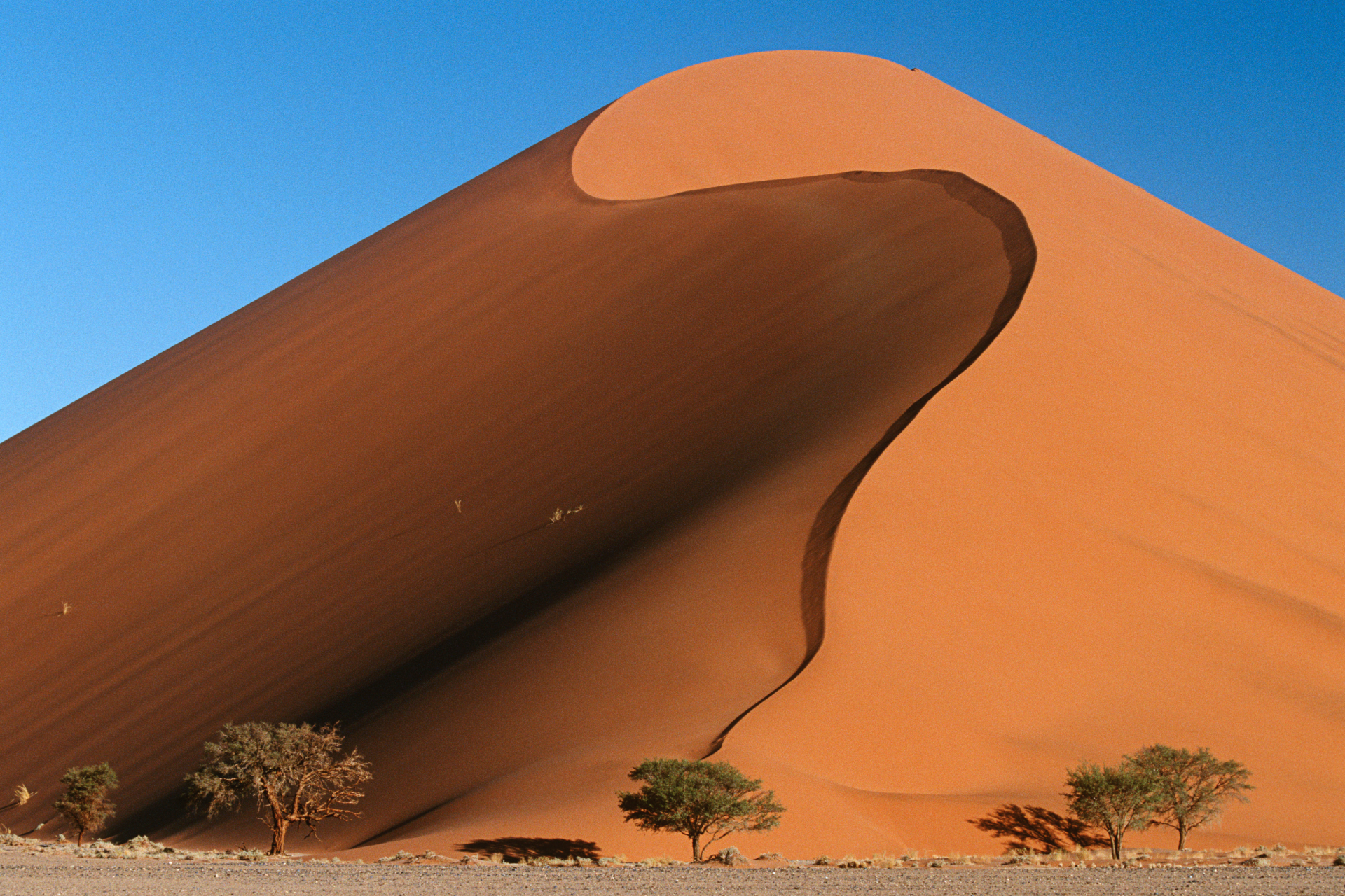 In Our Footsteps, Namibia: The Luxury of Space