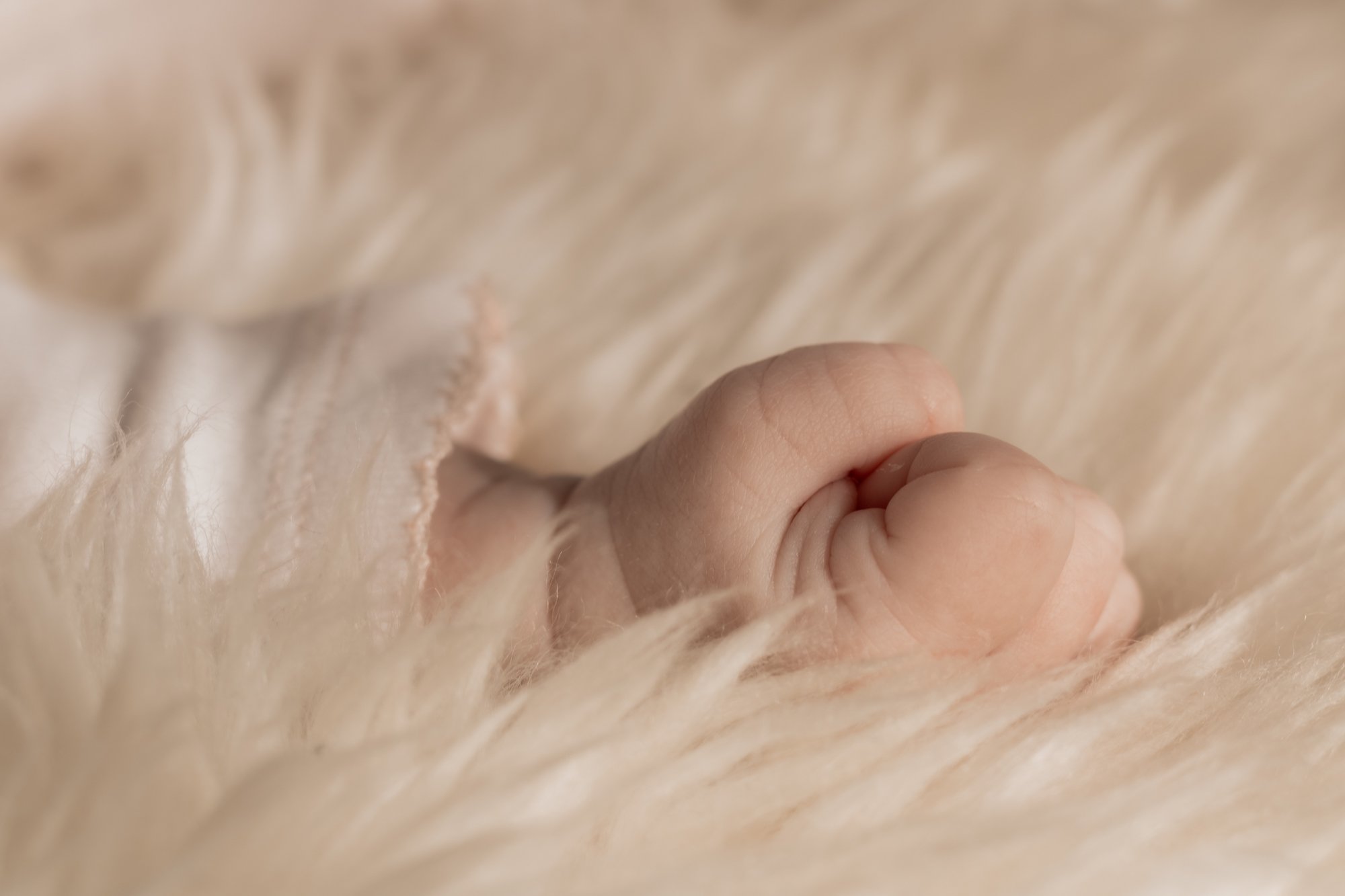 Ella - Shooting Naissance (56).jpg