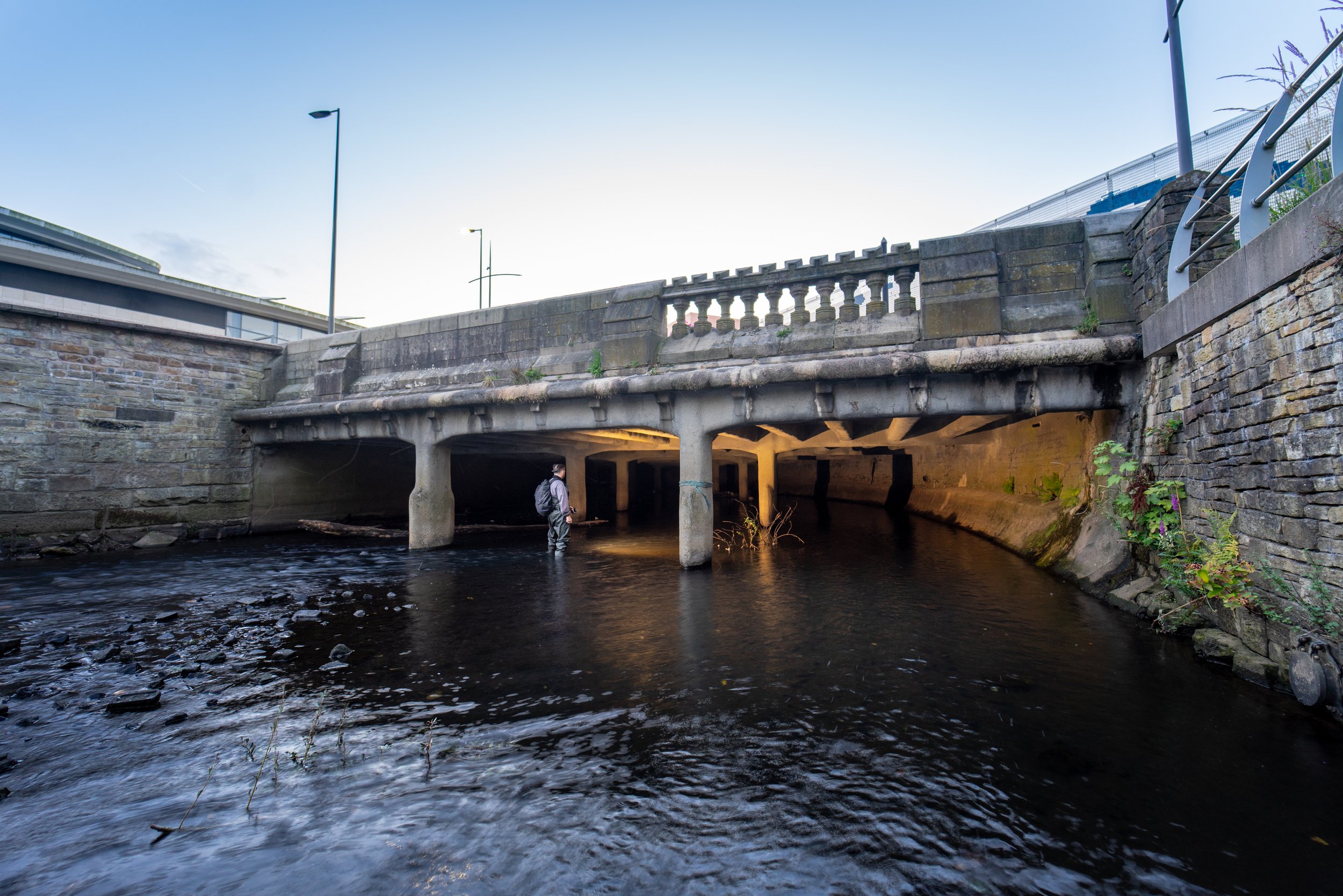The infall to the culverted sections of the Roch.