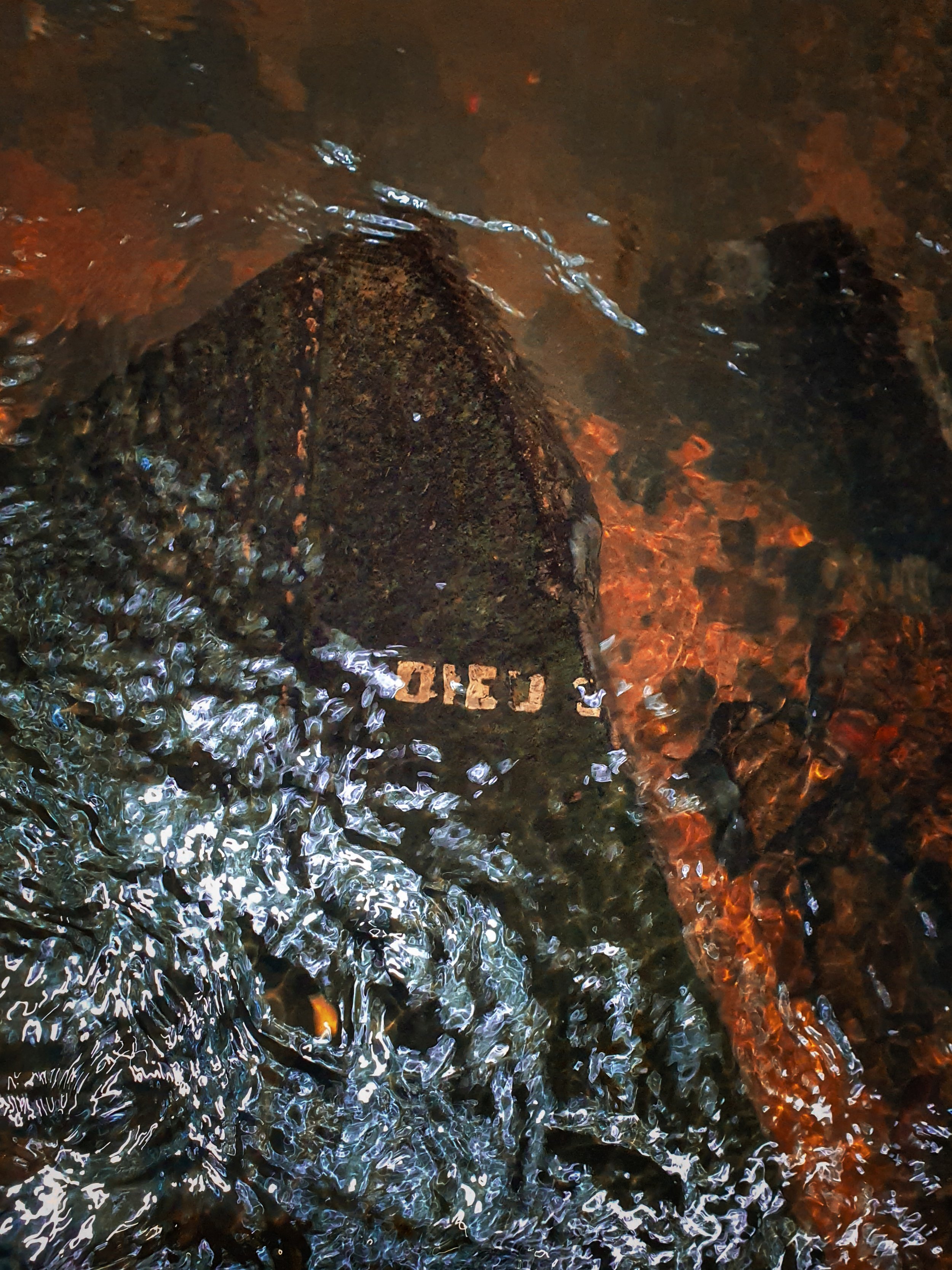 One of the gravestones found in the riverbed. The words ‘DIED’ can be seen in the top right corner.