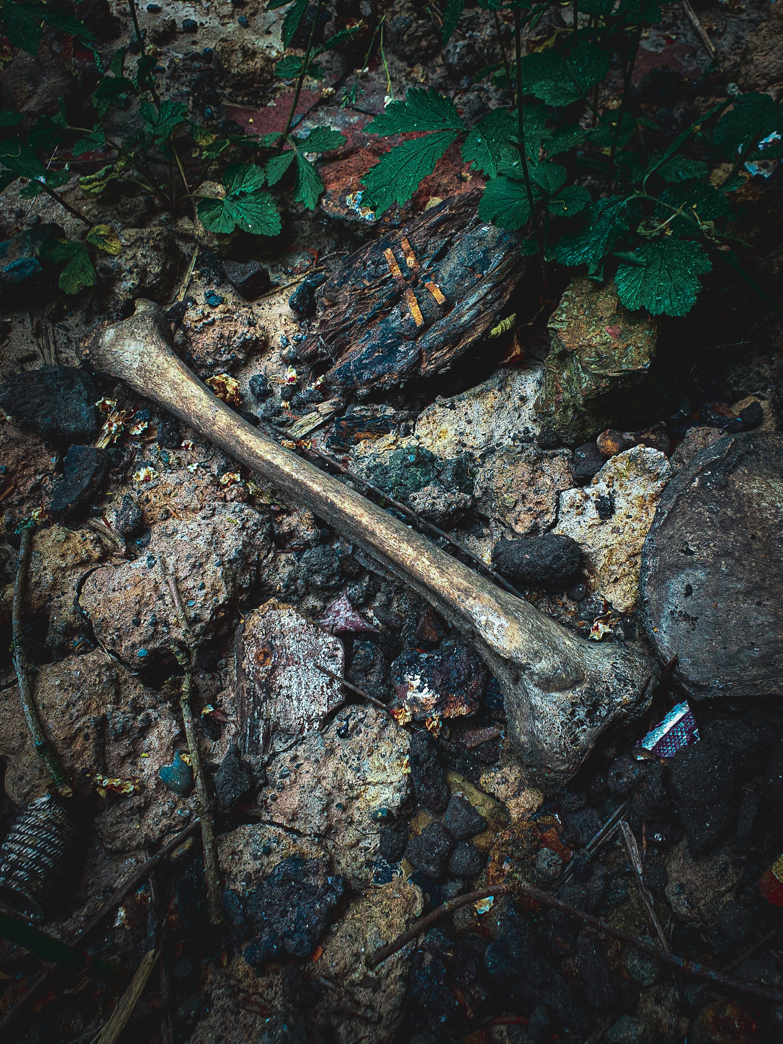 rover-medlock-culvert_51241949867_o_51742768844_o.jpg