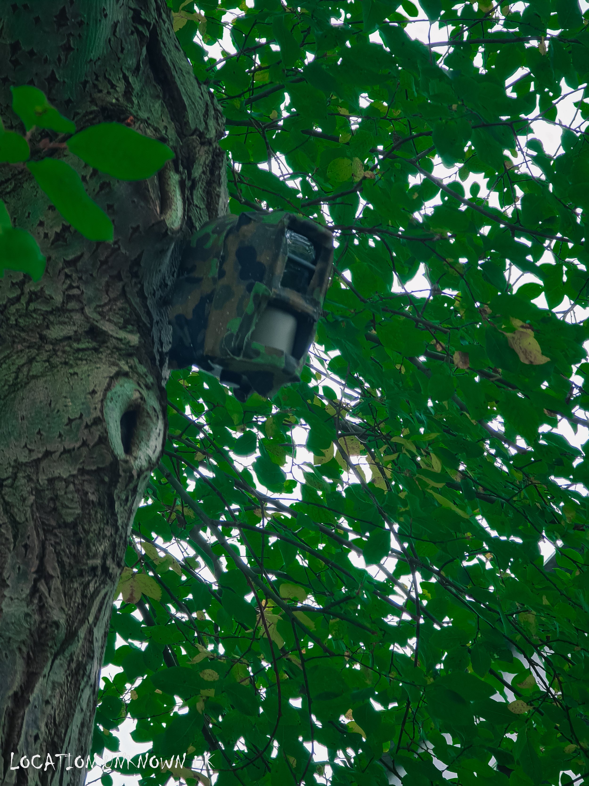 Hidden trail cam, i snapped this photo on the way out.