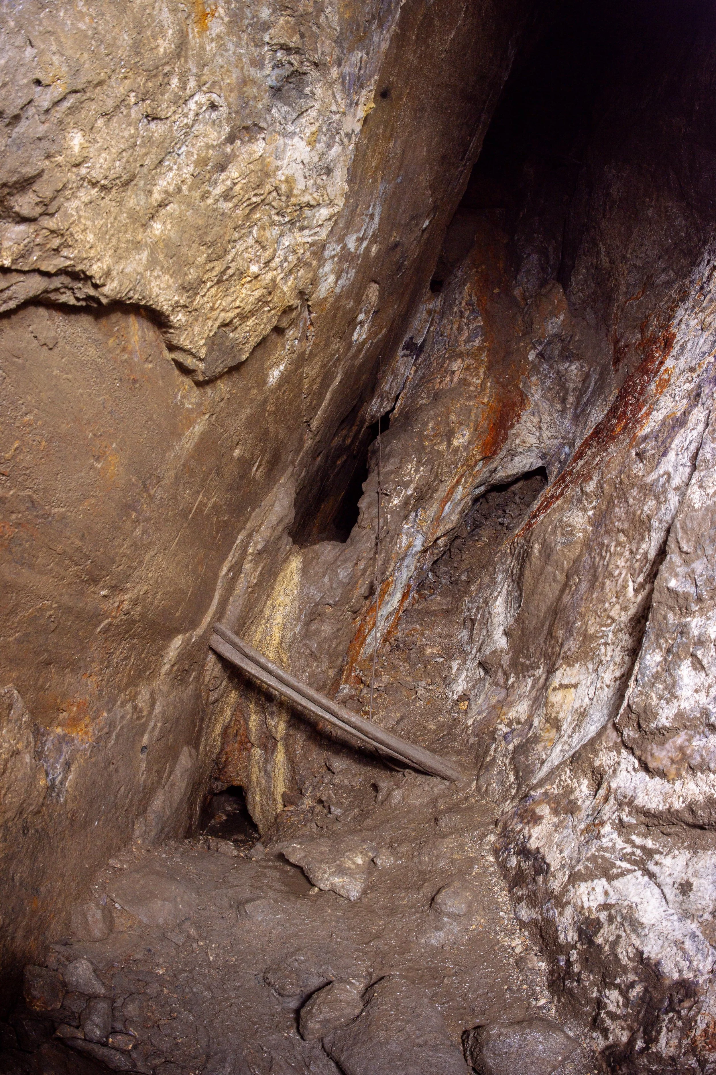 dsc06491_52314288923_o-min.jpg
