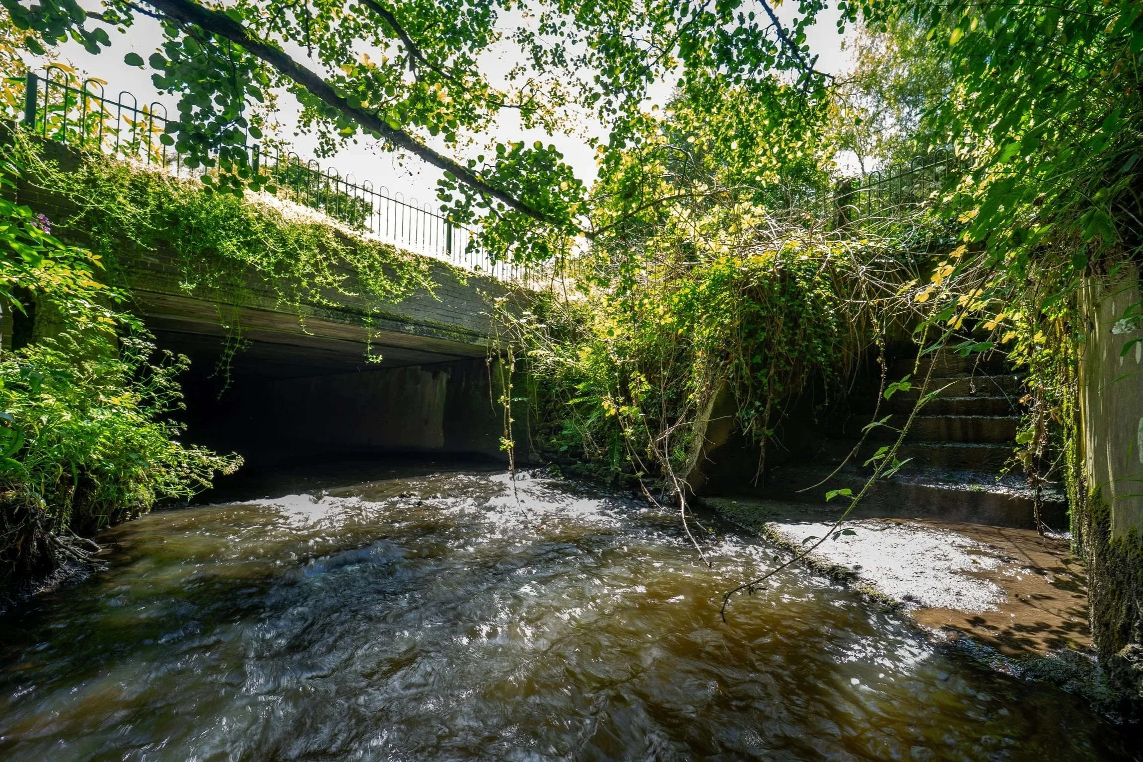 Bridgin The Gap - Crewe
