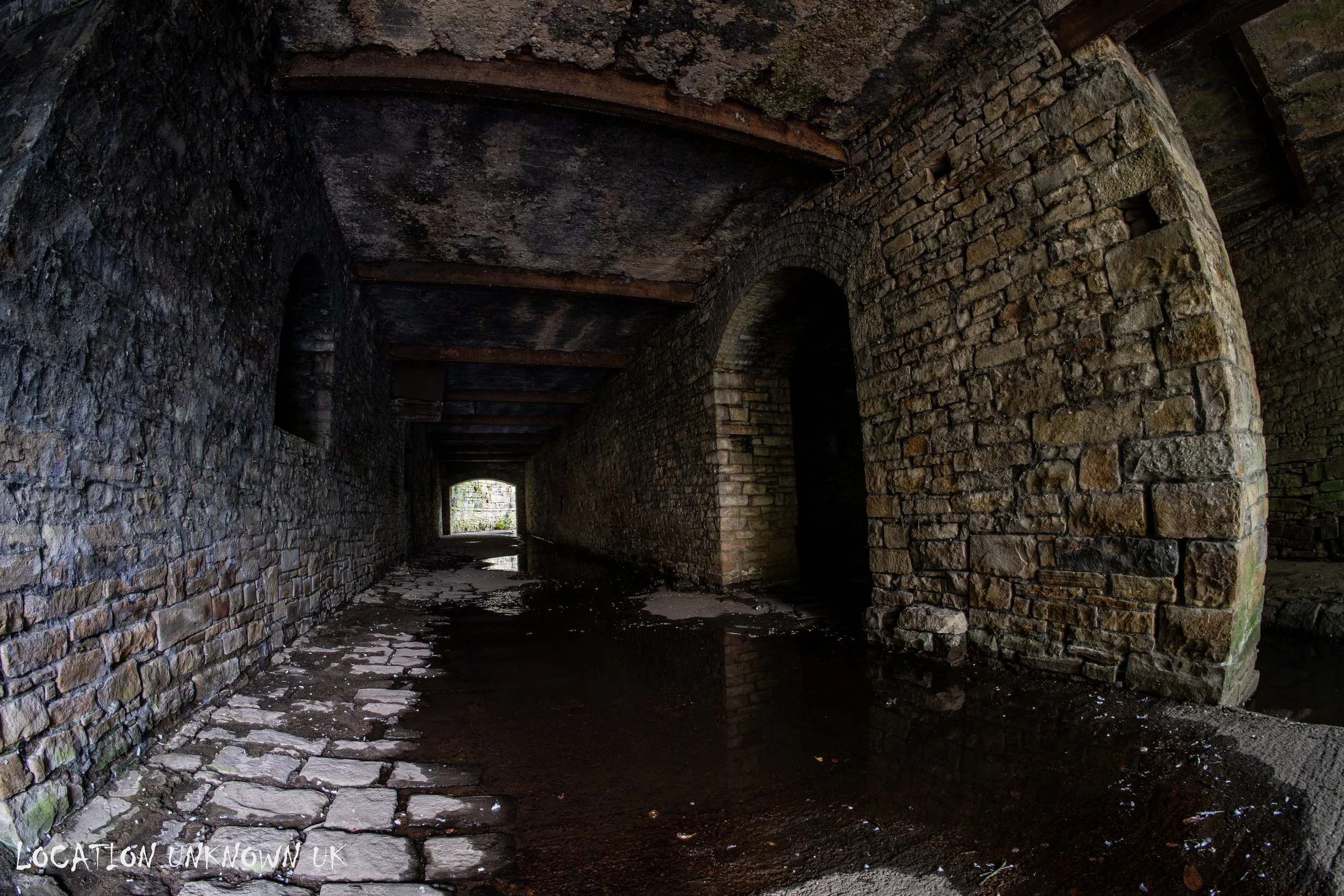 DSC08095.jpg