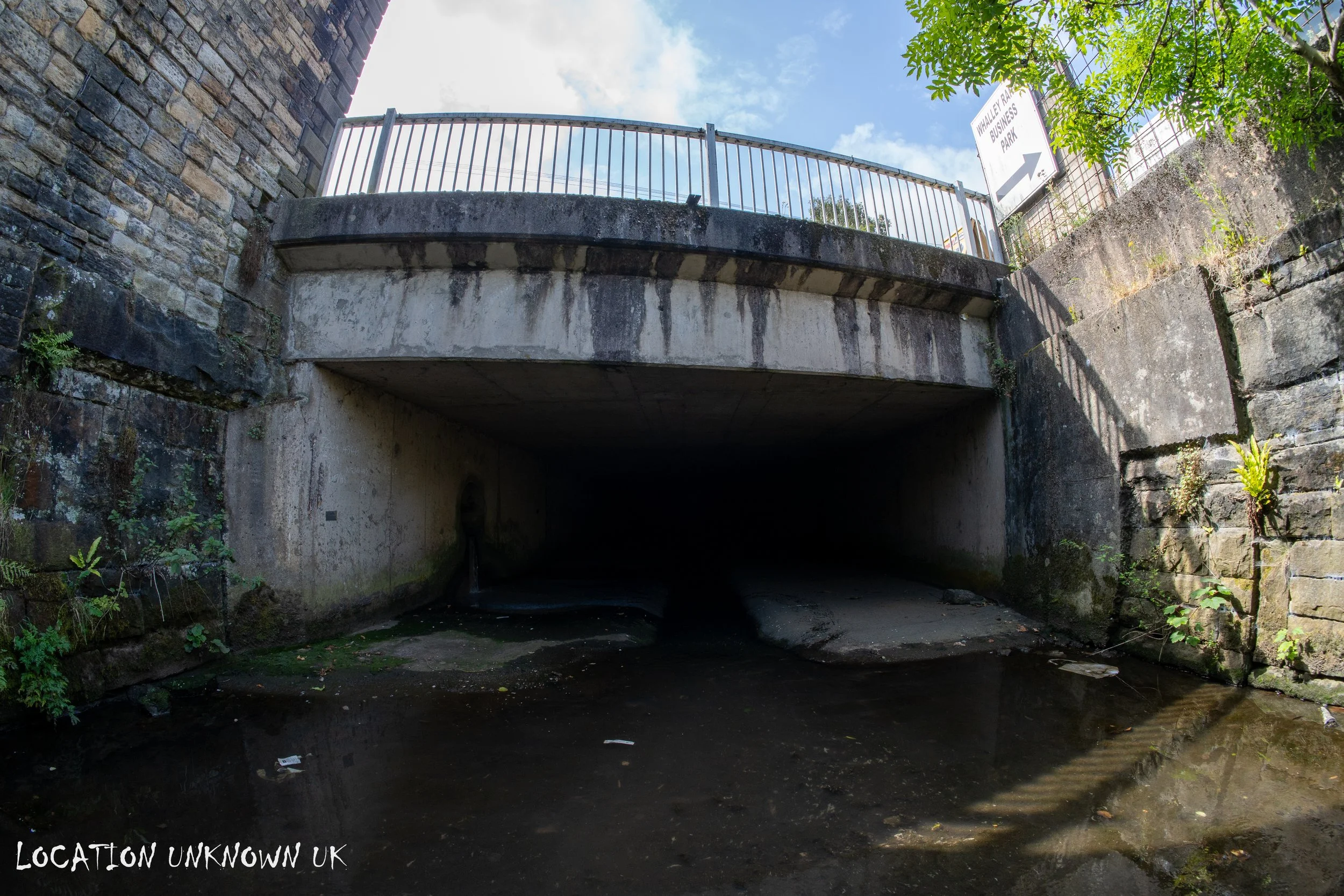 DSC08094.jpg