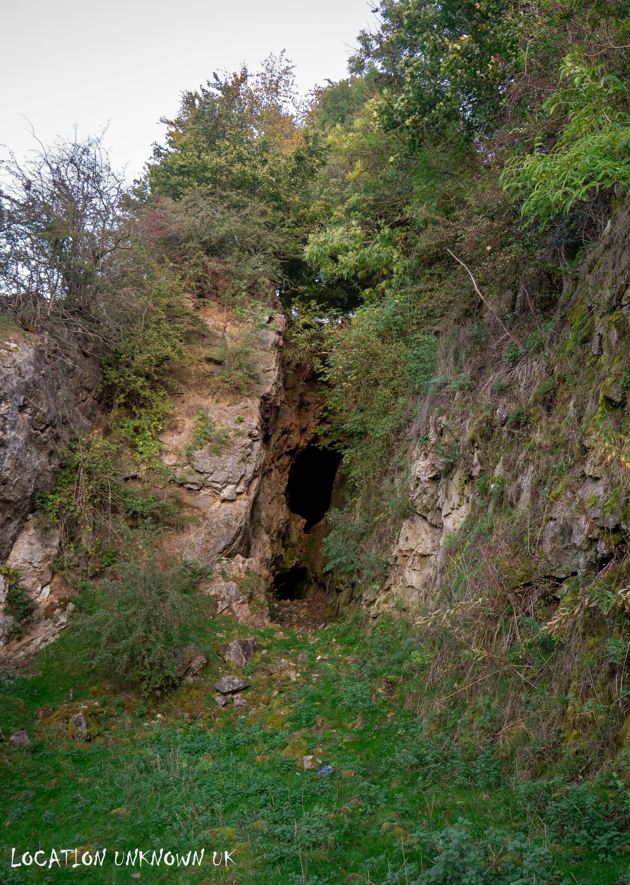 DSC08435.jpg