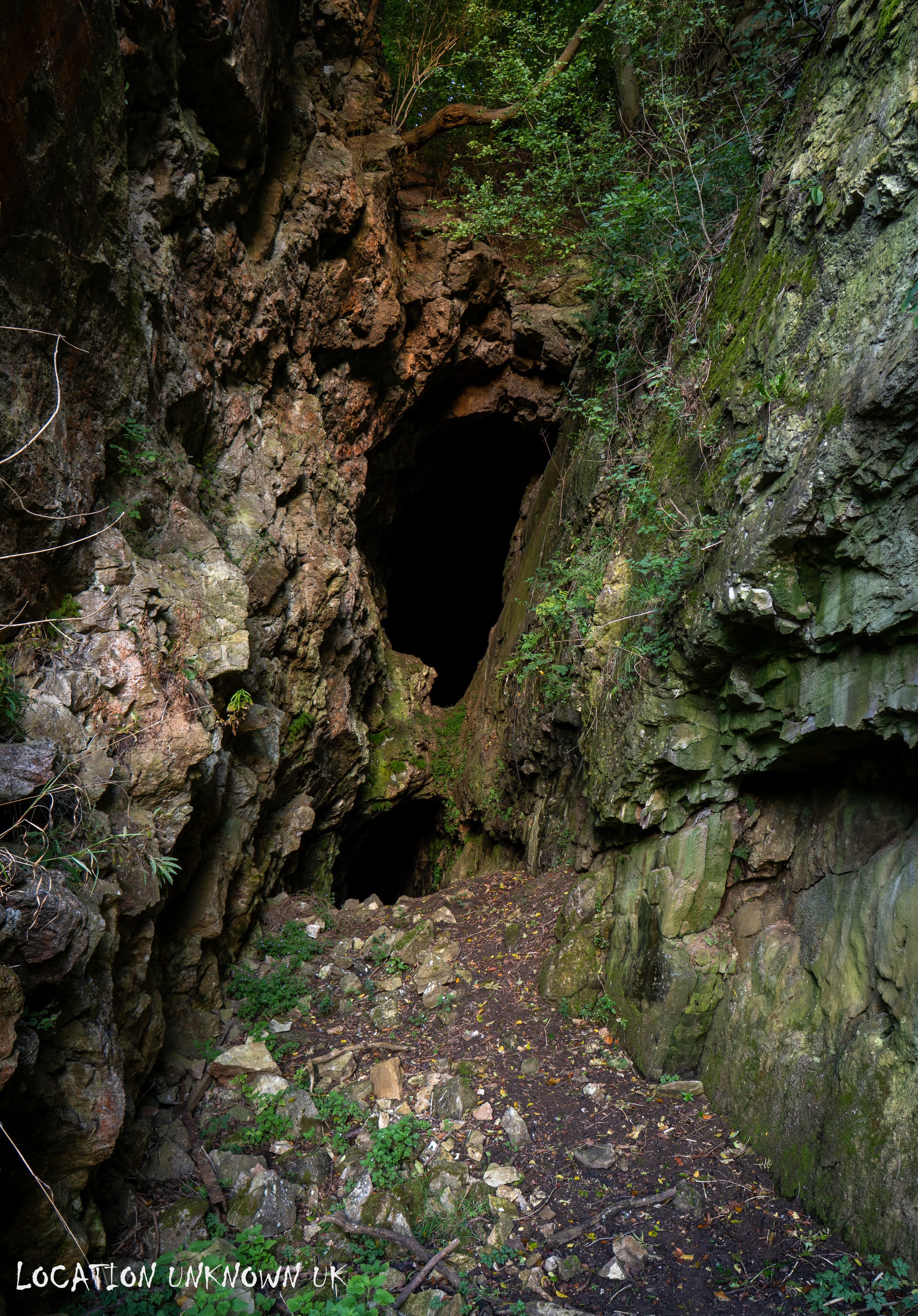 DSC08434.jpg