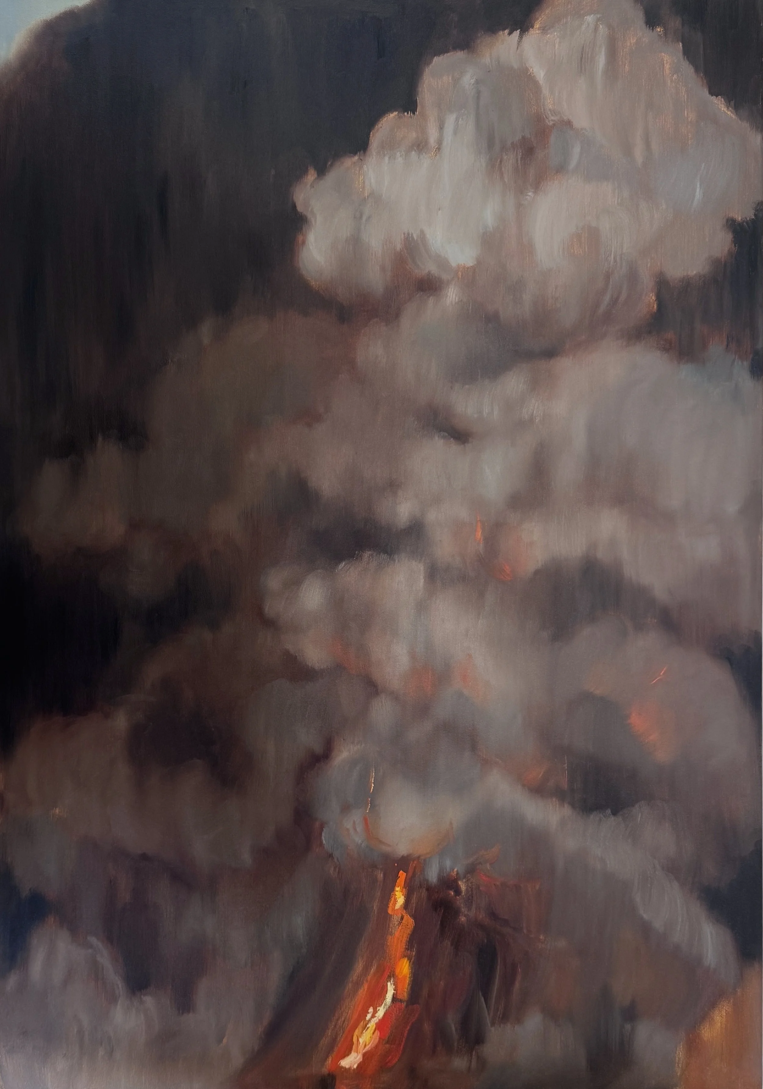 Soft apocalypse 70x100cm 2025.jpg