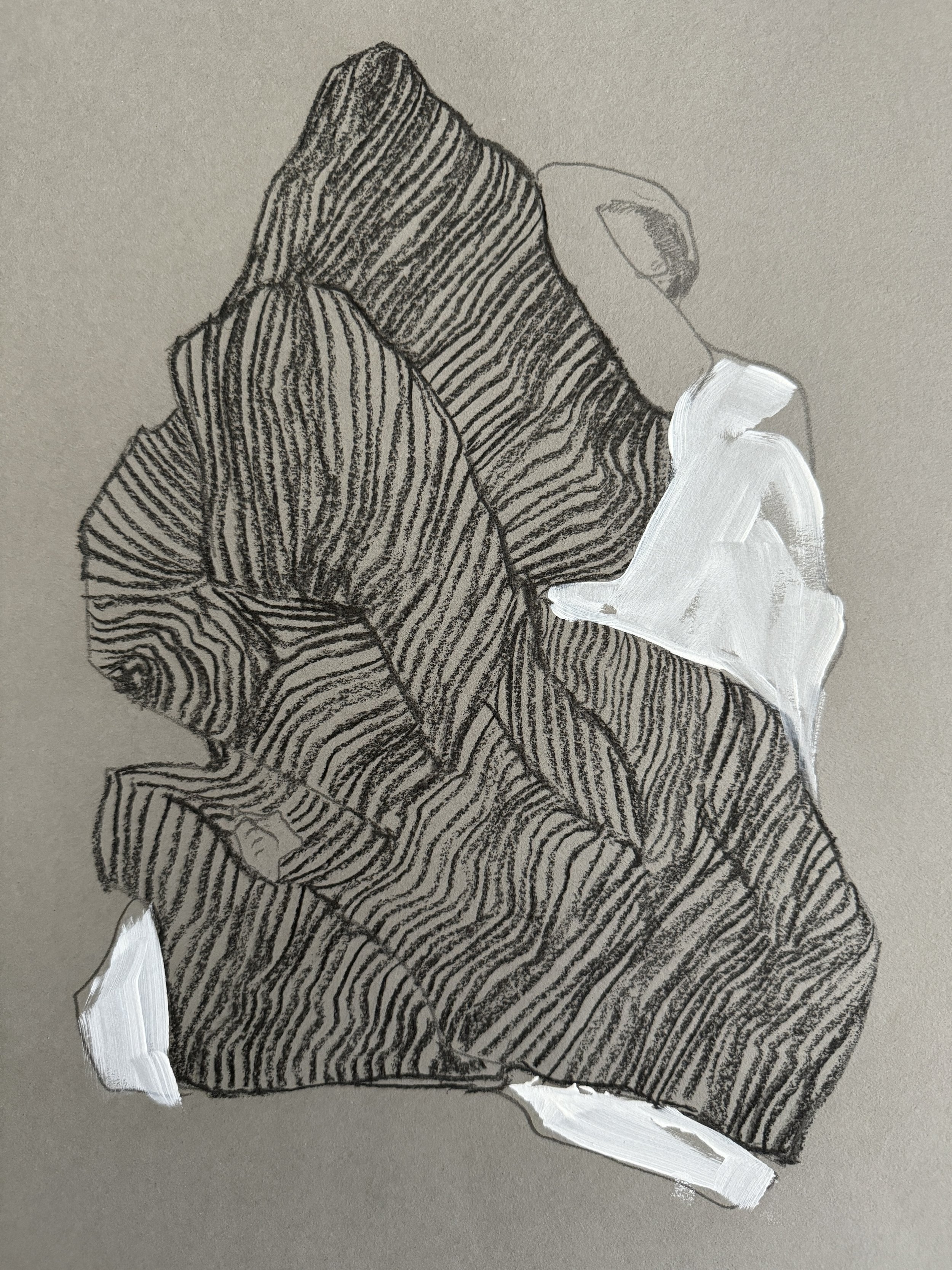 30cm x 20cm