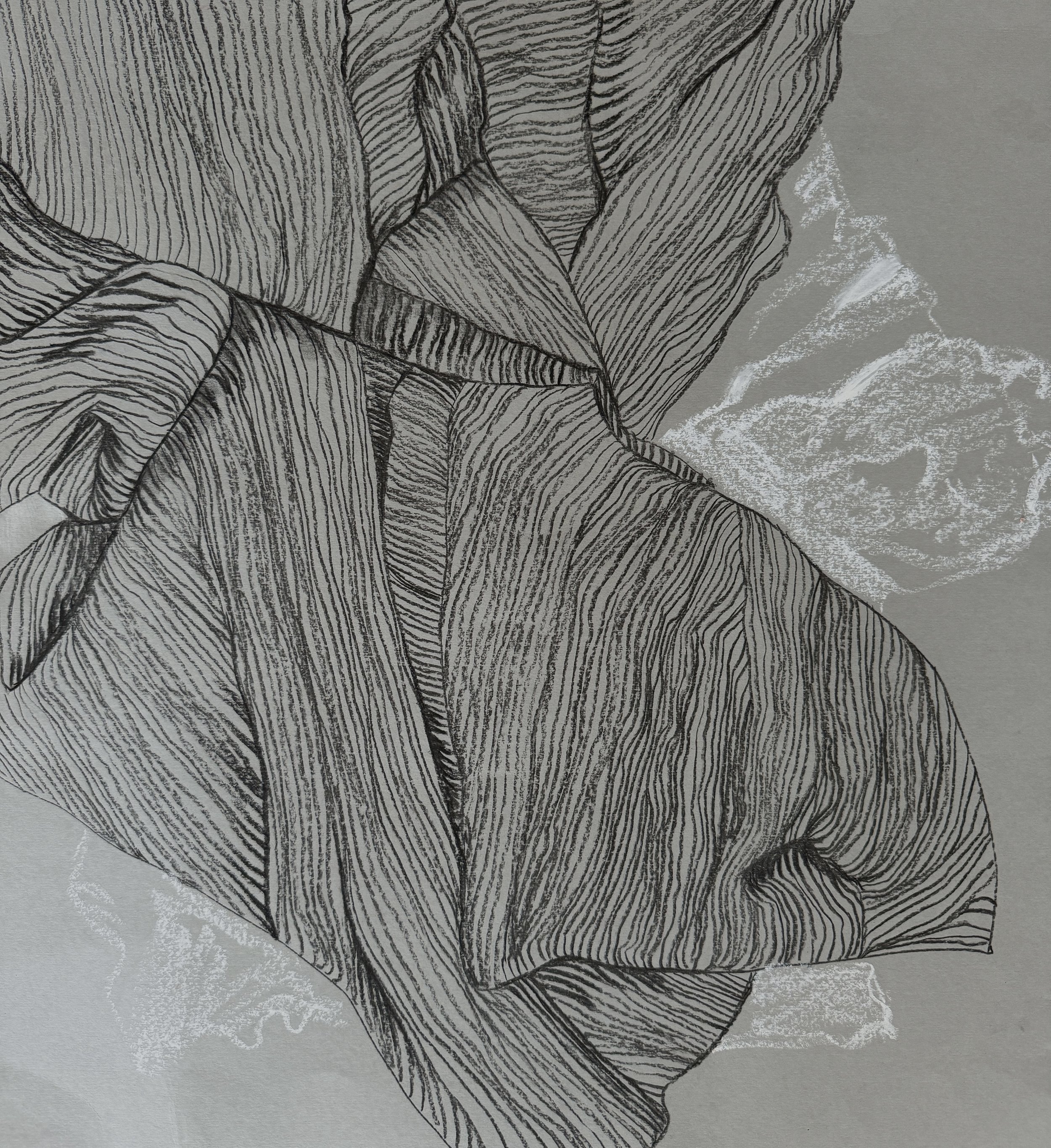 60cm x 50cm