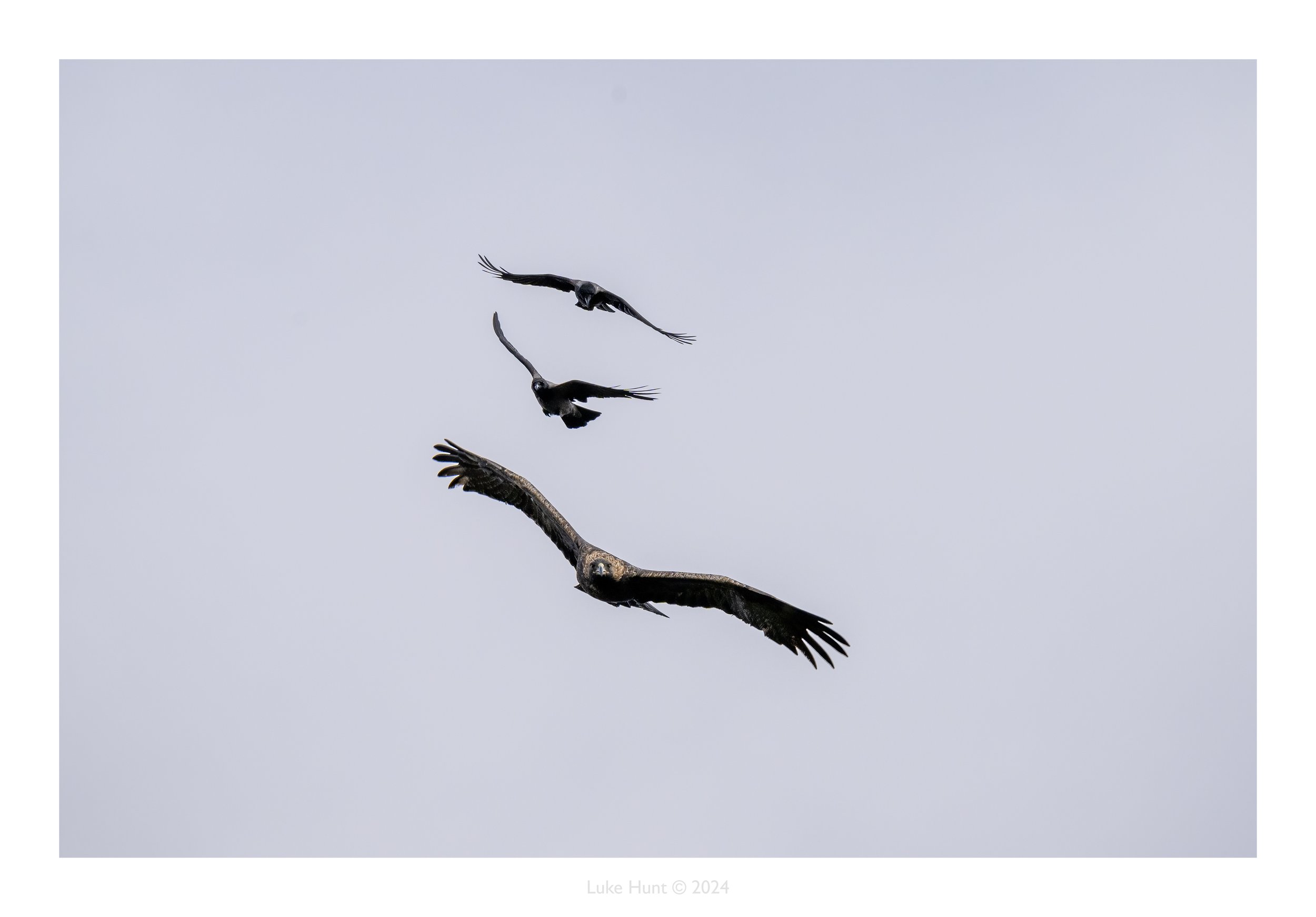 DSC_1123-Edit-Edit.jpg