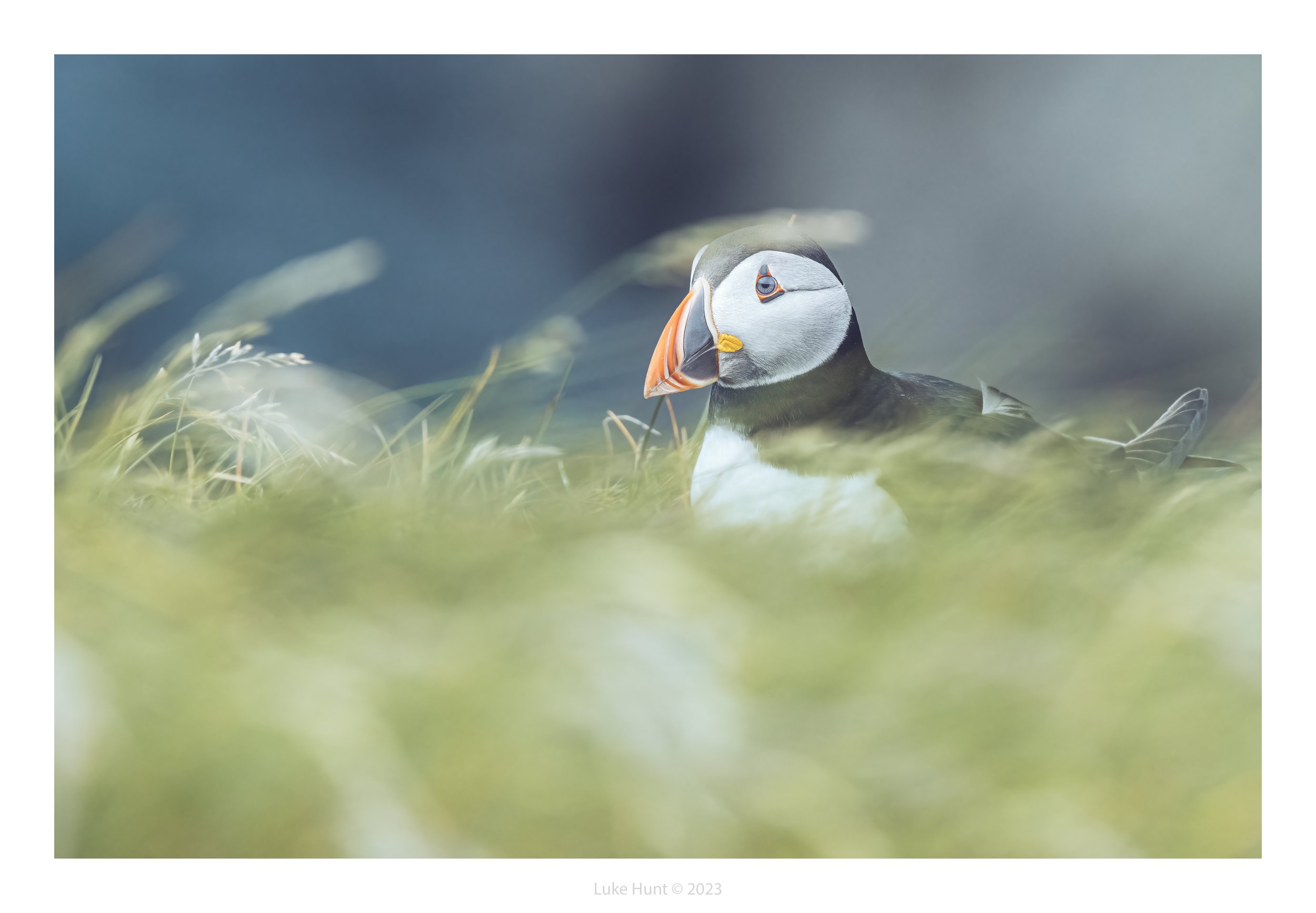shetland_DSC0065-Edit-Edit-Edit.jpg