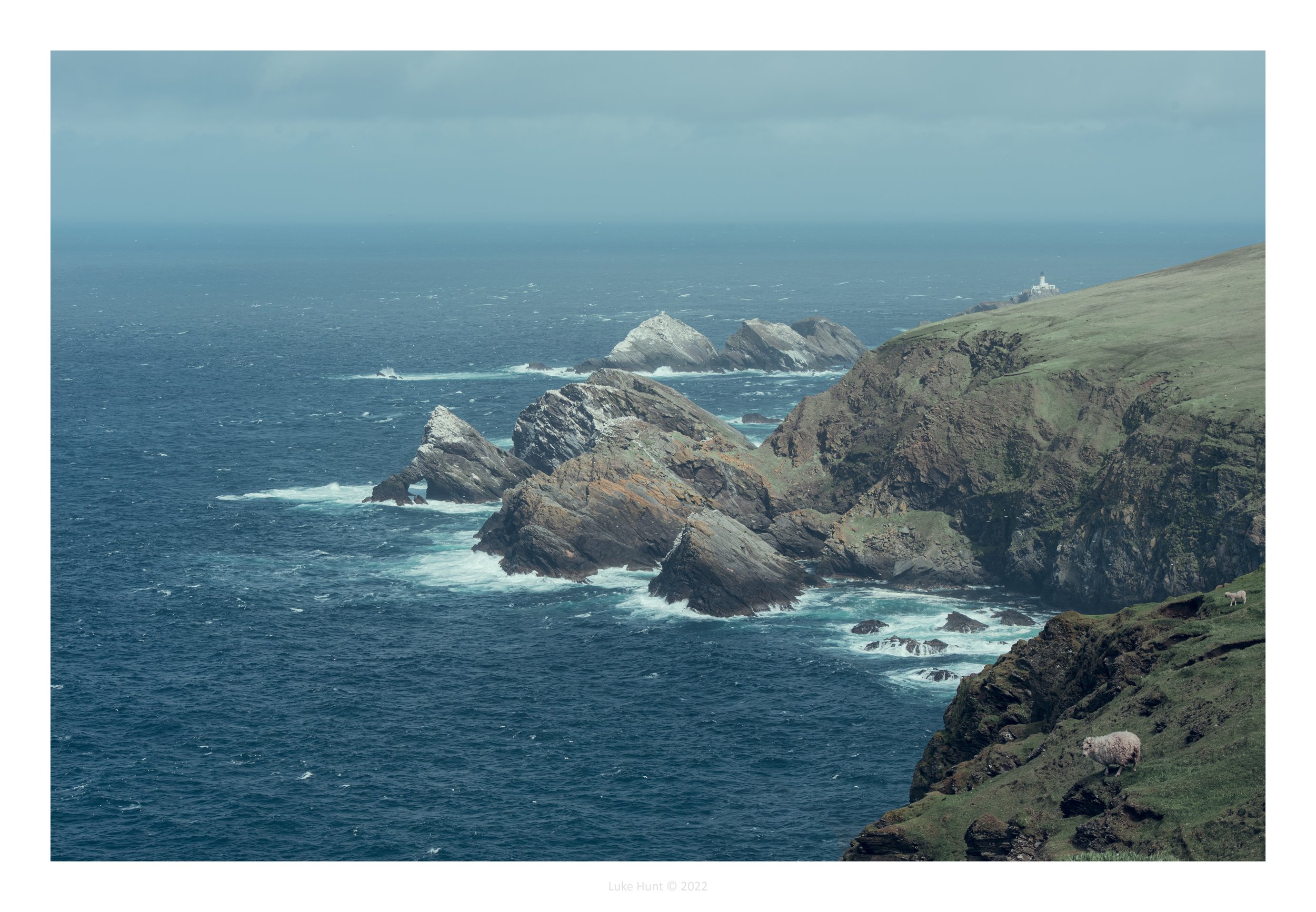 shetlandLH0_0394-Edit-Edit.jpg