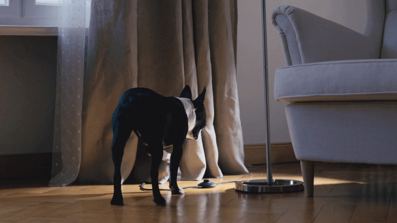 Imagefilm für Ikea um das Sortiment an Schlafzimmer-Produkten des schwedischen Möbelriesen zu kommunizieren. Hauptrolle spielt dabei ein kleiner, neugieriger Hund, der die Gunst der Stunde nutzt, wenn seine Herrchen und Frauchen nicht da sind.