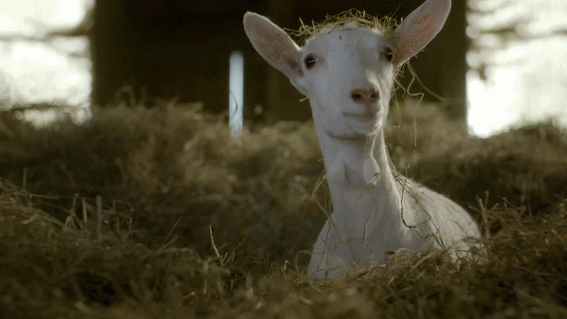 Coop Taten statt Worte Imagekampagne Film Havas Zürich