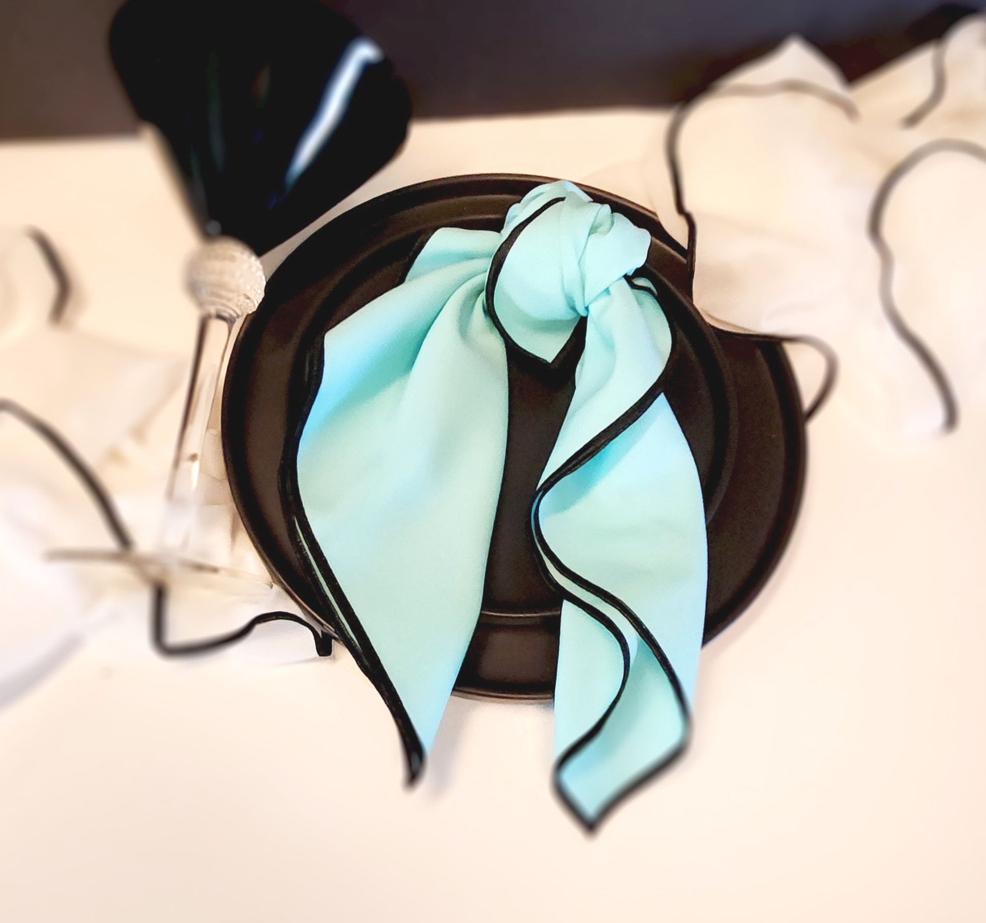 Aqua+Napkin+with+Black+Trim_eiden+linen+decor.jpg