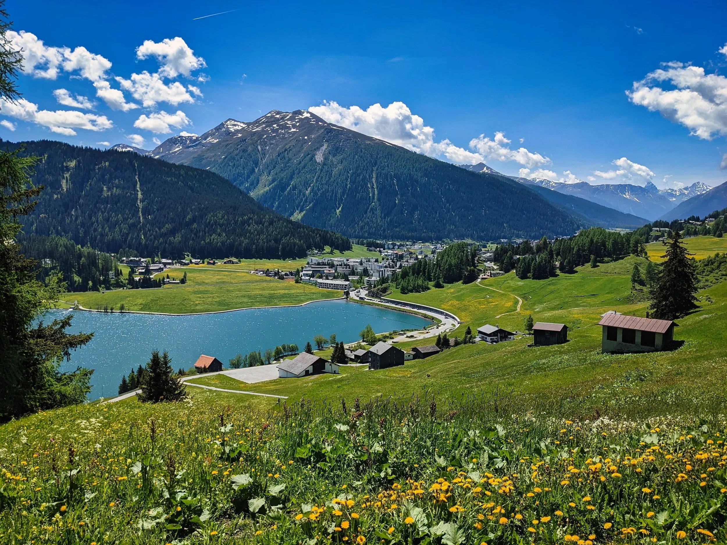 Davos Festival - Mozart, Martinu, Raphael