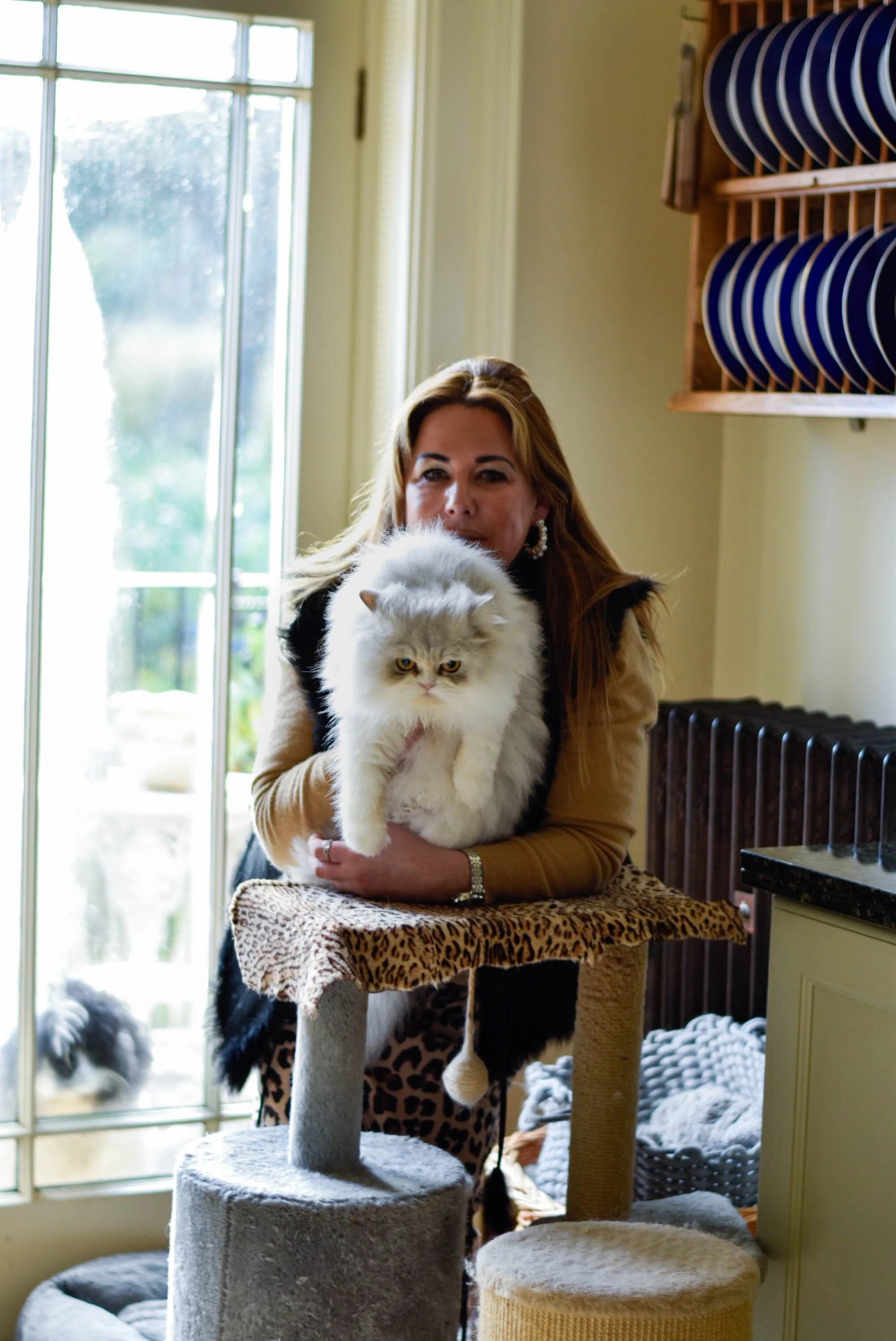 SIOBHAN, CAT BREEDER, SHREWSBURY, NOV 23