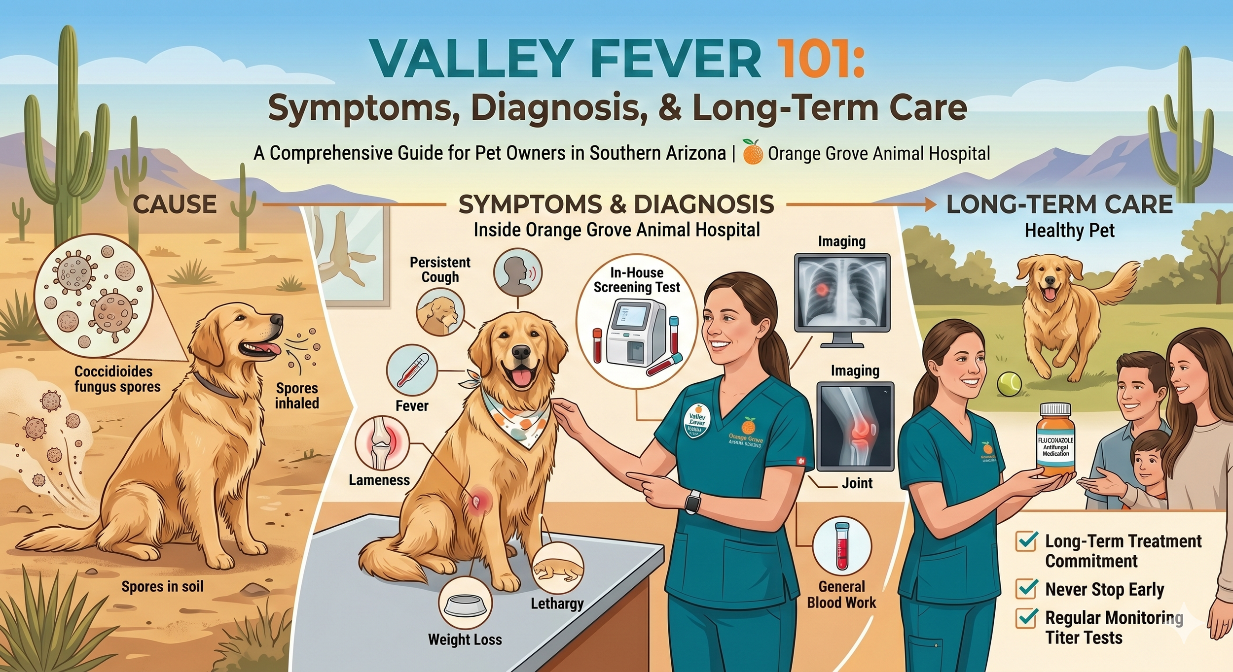 Valley Fever 101: Symptoms, Diagnosis, and Long-Term Care