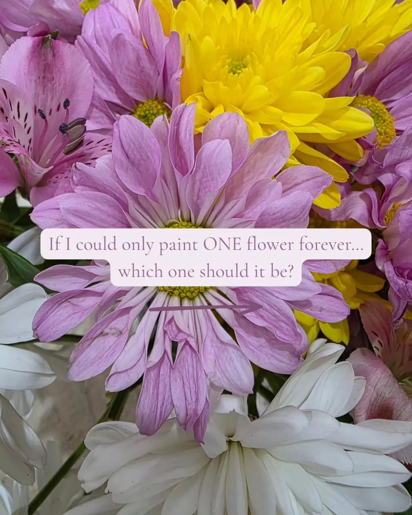I definitely have a few favourites I always seem to come back to, but I&rsquo;m curious to see what you think.

If I could only paint ONE of these flowers forever, which one should it be? 🌸

Tell me the number you&rsquo;re picking in the comments 👇