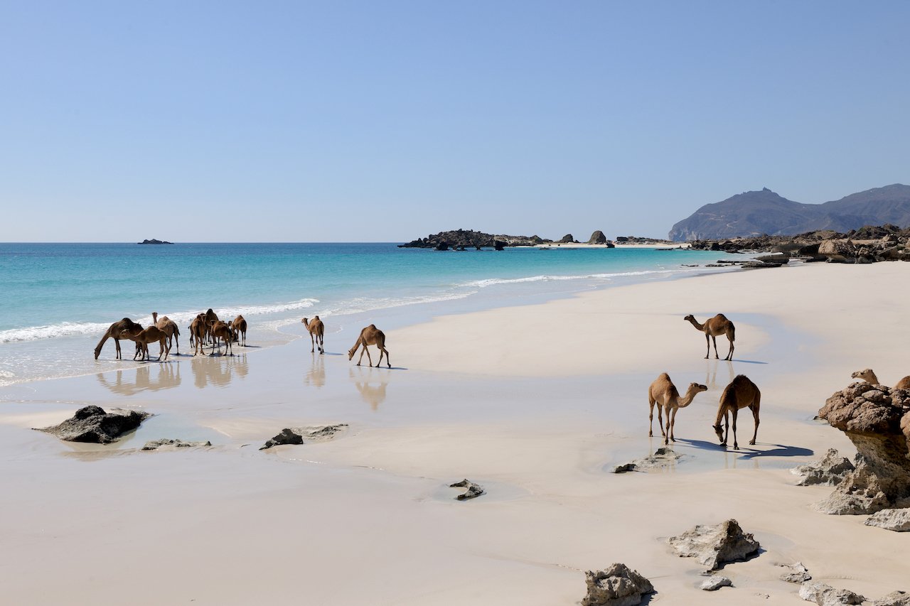 Luxury-Trips-Tours-Private-Travel-new Sarah Casewit luxury travel t