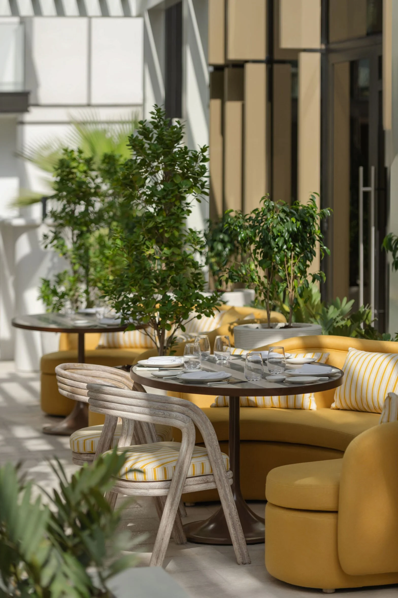DelanoDubai_NateleeCocks_Tutto-Passa-2-1568x2352.jpg