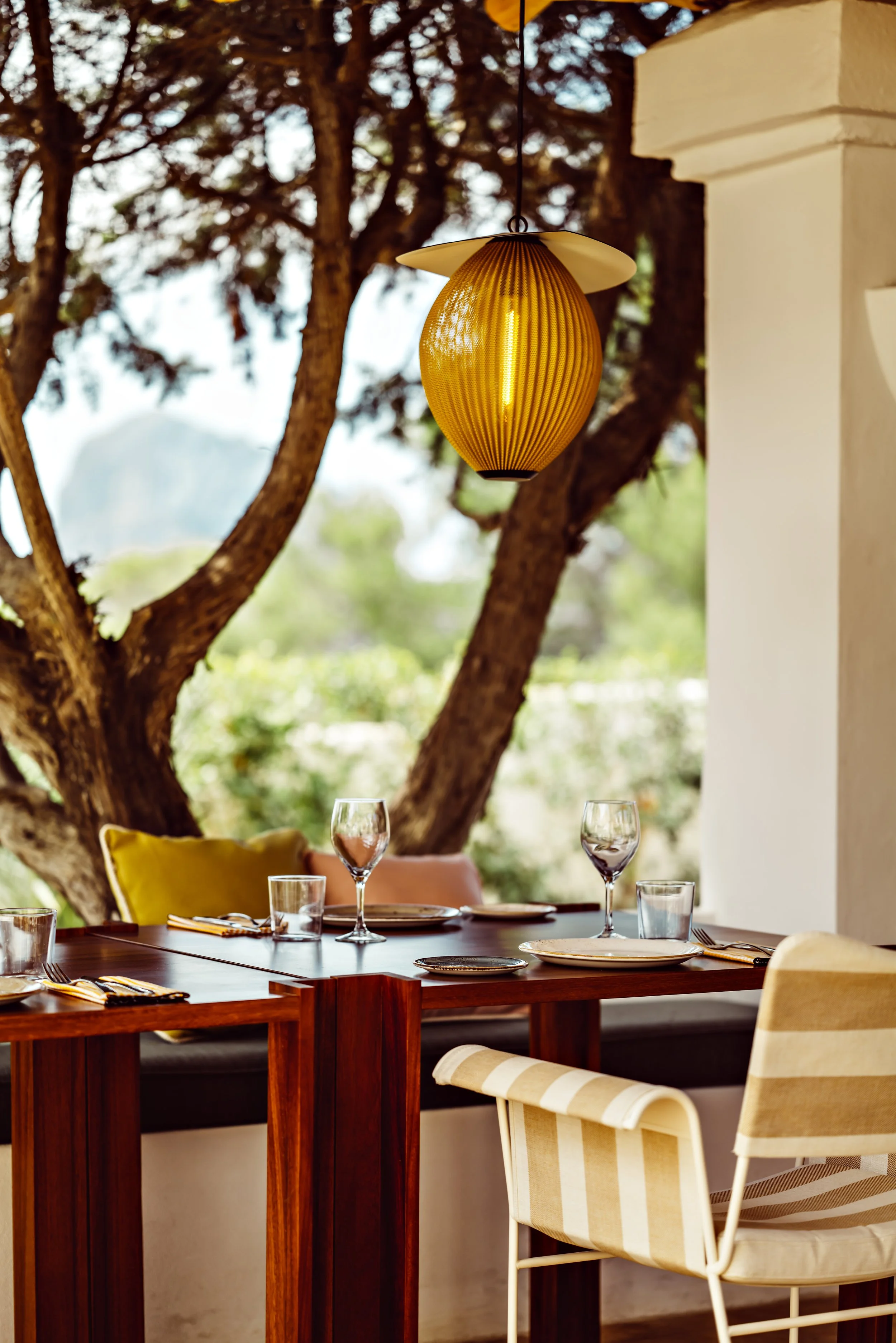 Beaumier_Ibiza_Petunia_BenoitLinero_LosOlivos_L1030215.jpg