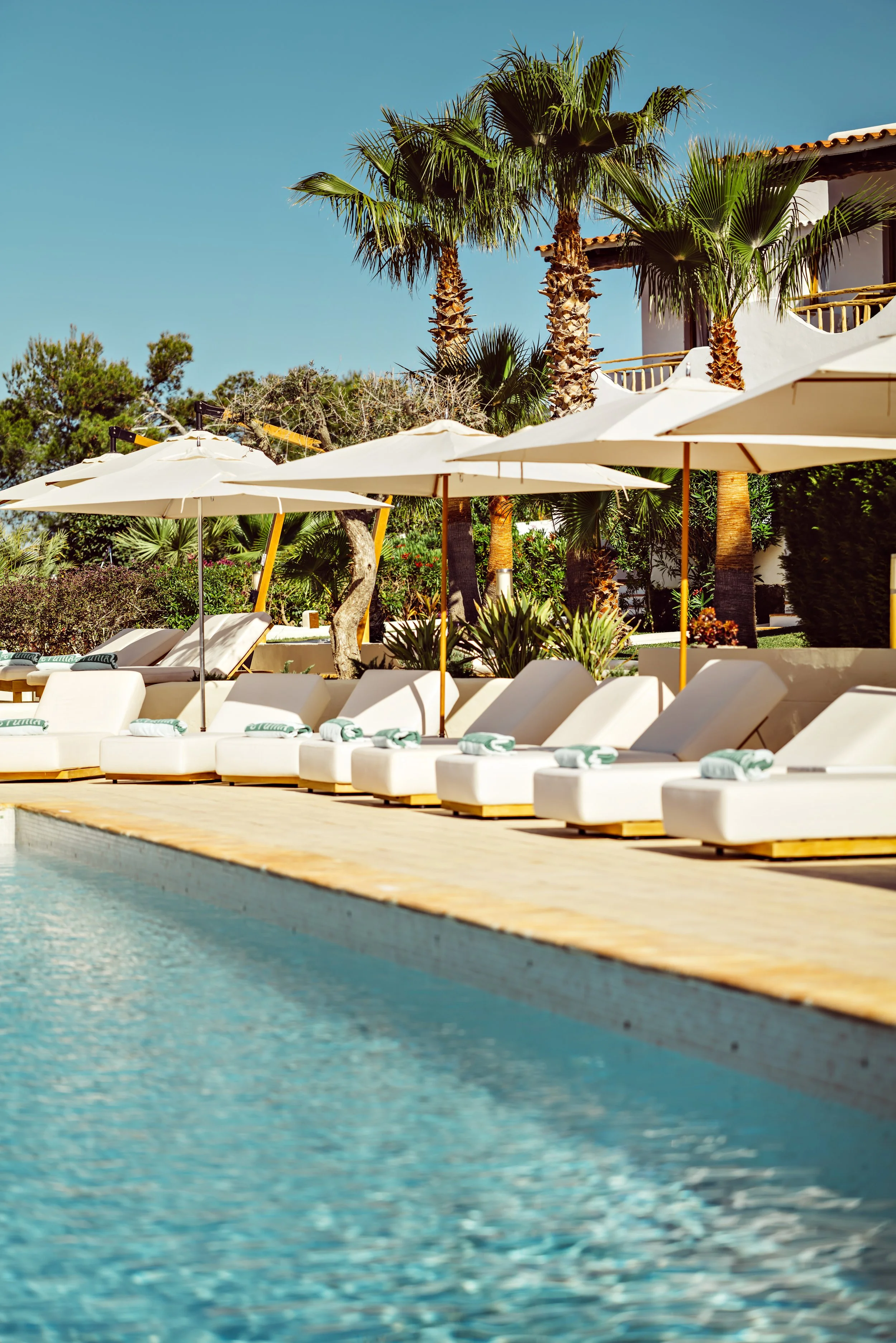 Beaumier_Ibiza_Petunia_BenoitLinero_Pool_L1030355.jpg