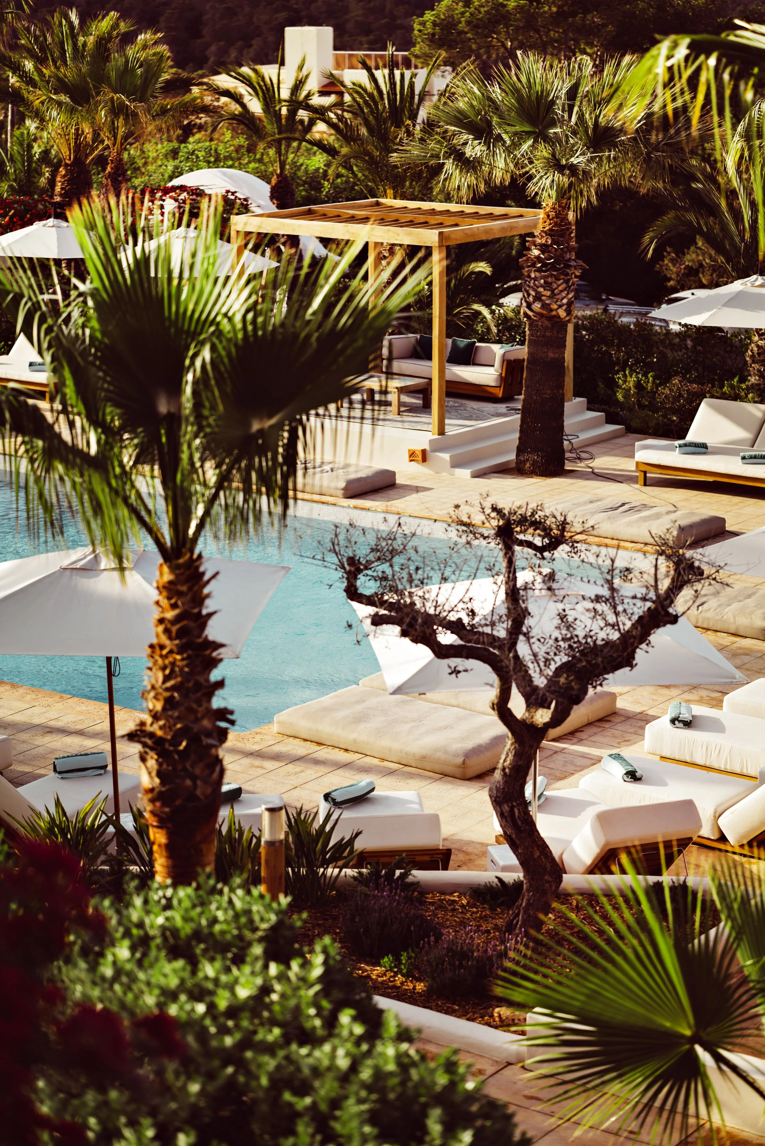 Beaumier_Ibiza_Petunia_BenoitLinero_Pool_L1030347.jpg