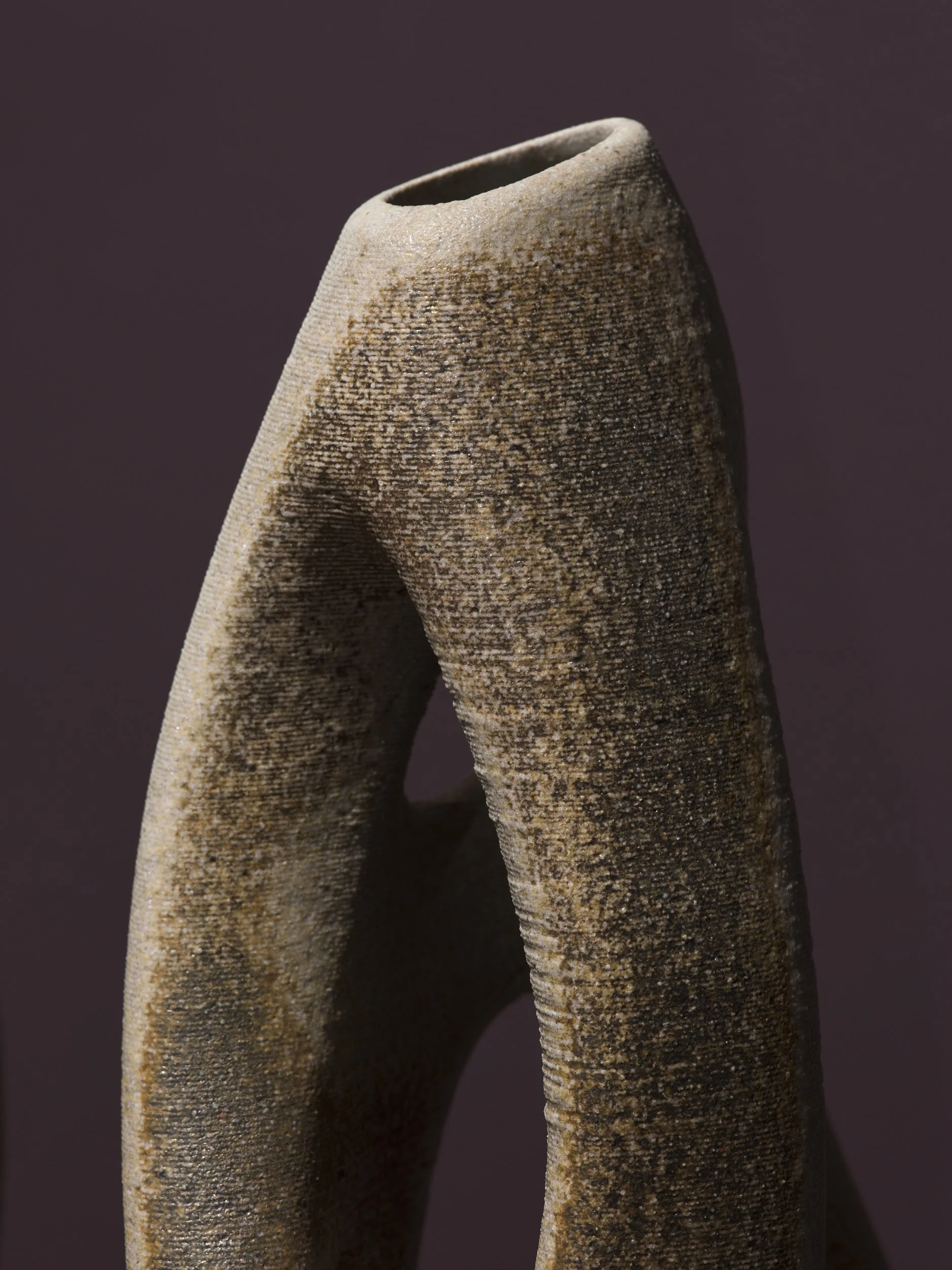 County Hall Pottery_After Ash_Fred Gwatkin_Branching Biomorph 3_(c) Reinis Lismanis (1).jpg