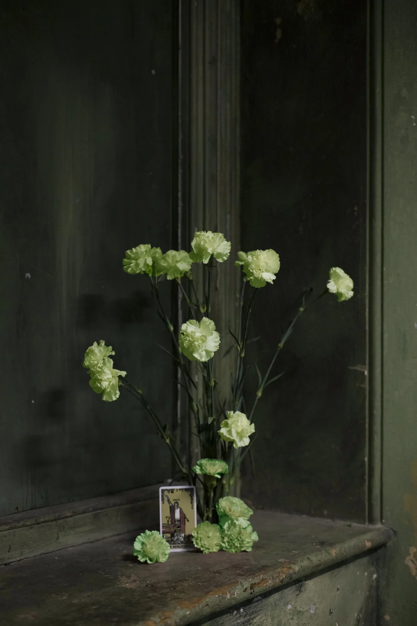 Green Carnation 2LG-12.jpg
