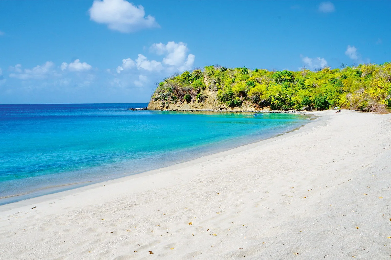 carriacou-grenada-beach-blue-skies.jpg