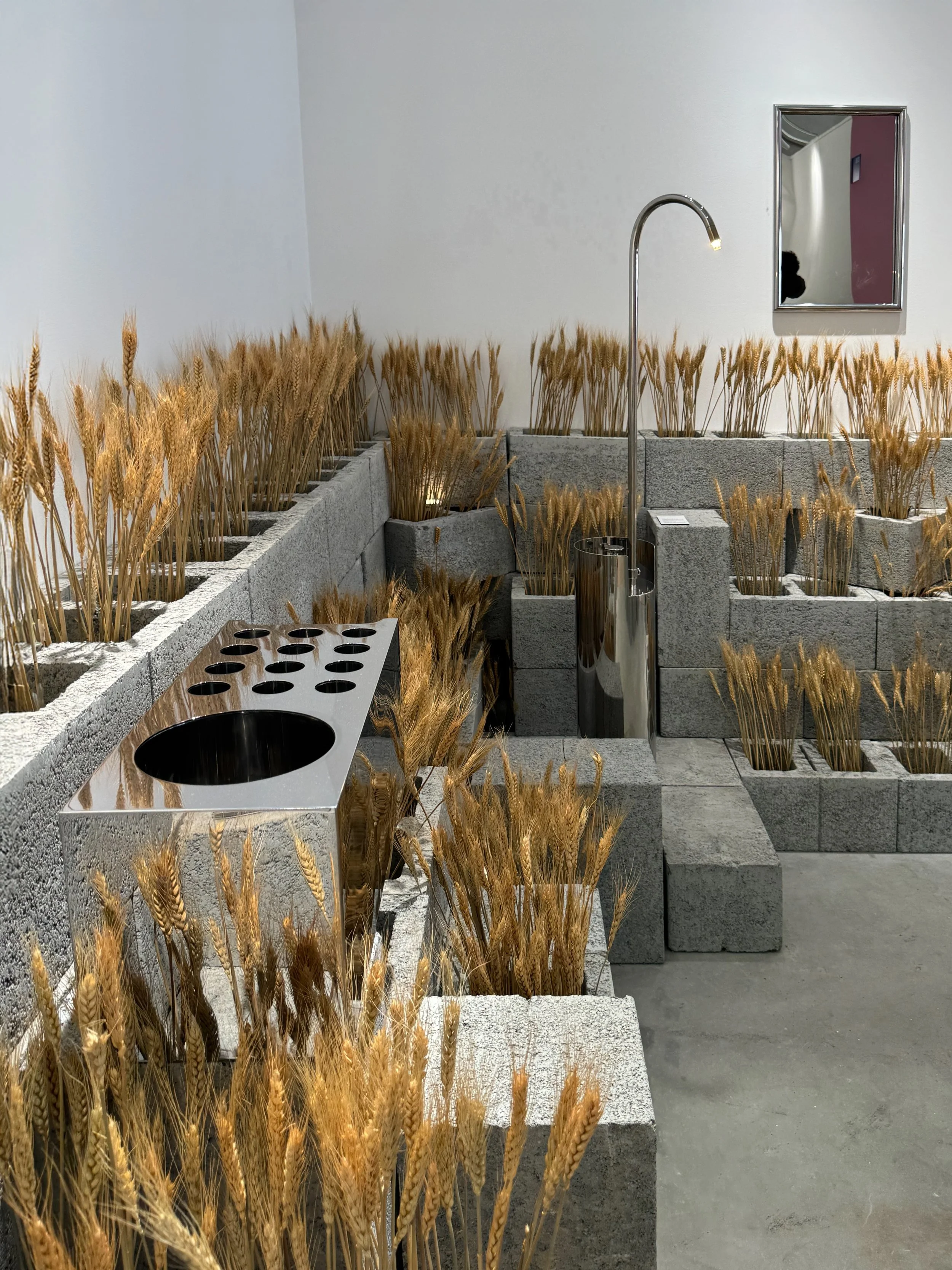 Editions 2025 HIGHLIGHTS