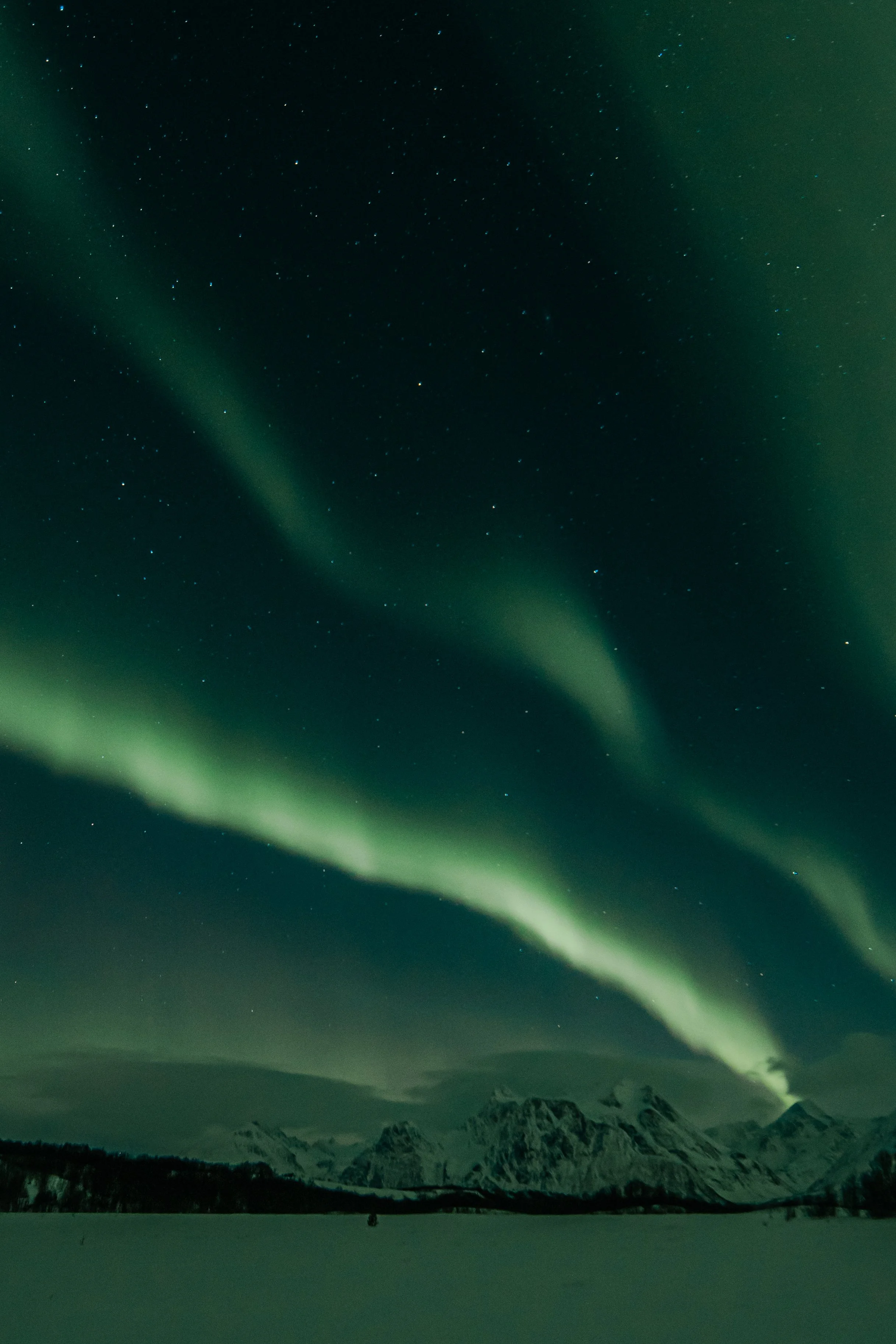 Sarah-Casewit-Tyson-Sadler-Norway-Northern-Lights-2.jpg