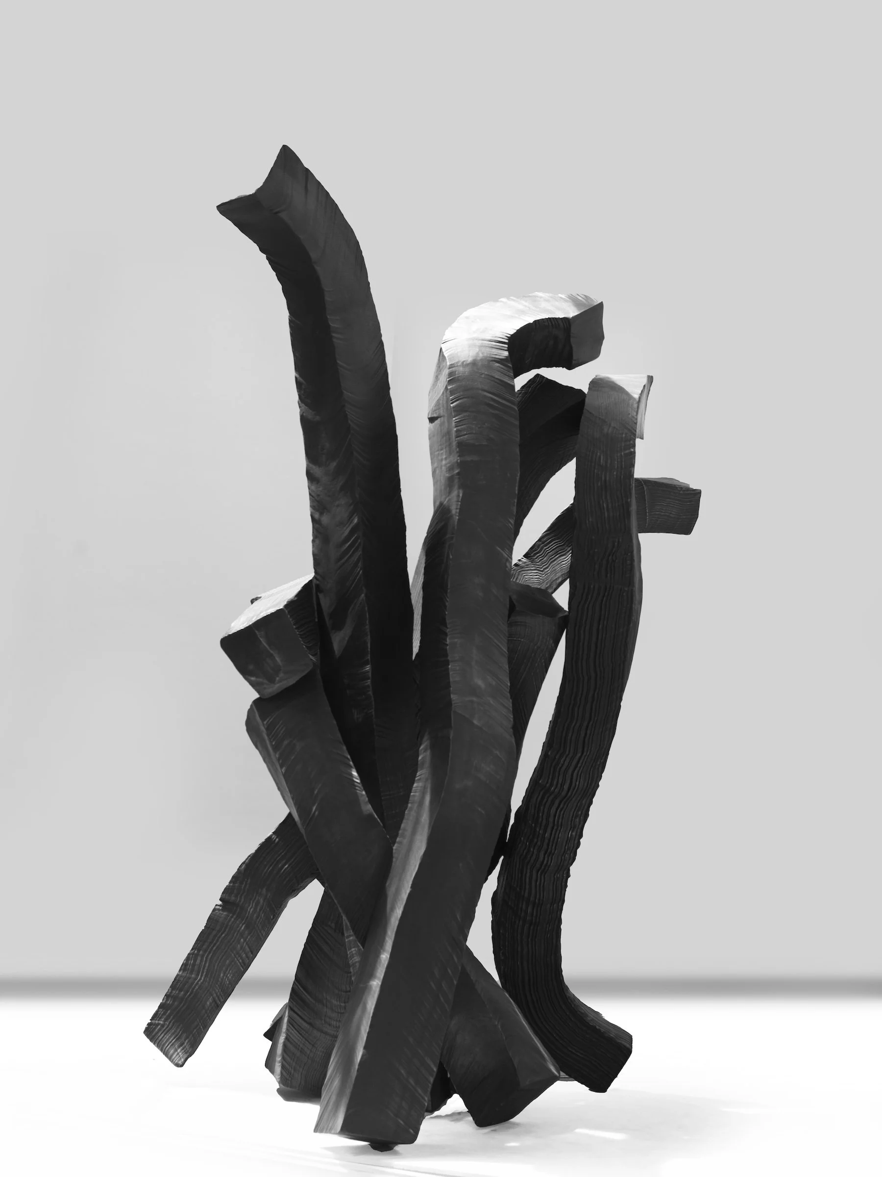 [Johyun Gallery] Lee Bae, Brushstroke-29, 2024, Bronze, 285 x 180 x 160cm 2 copy.jpg