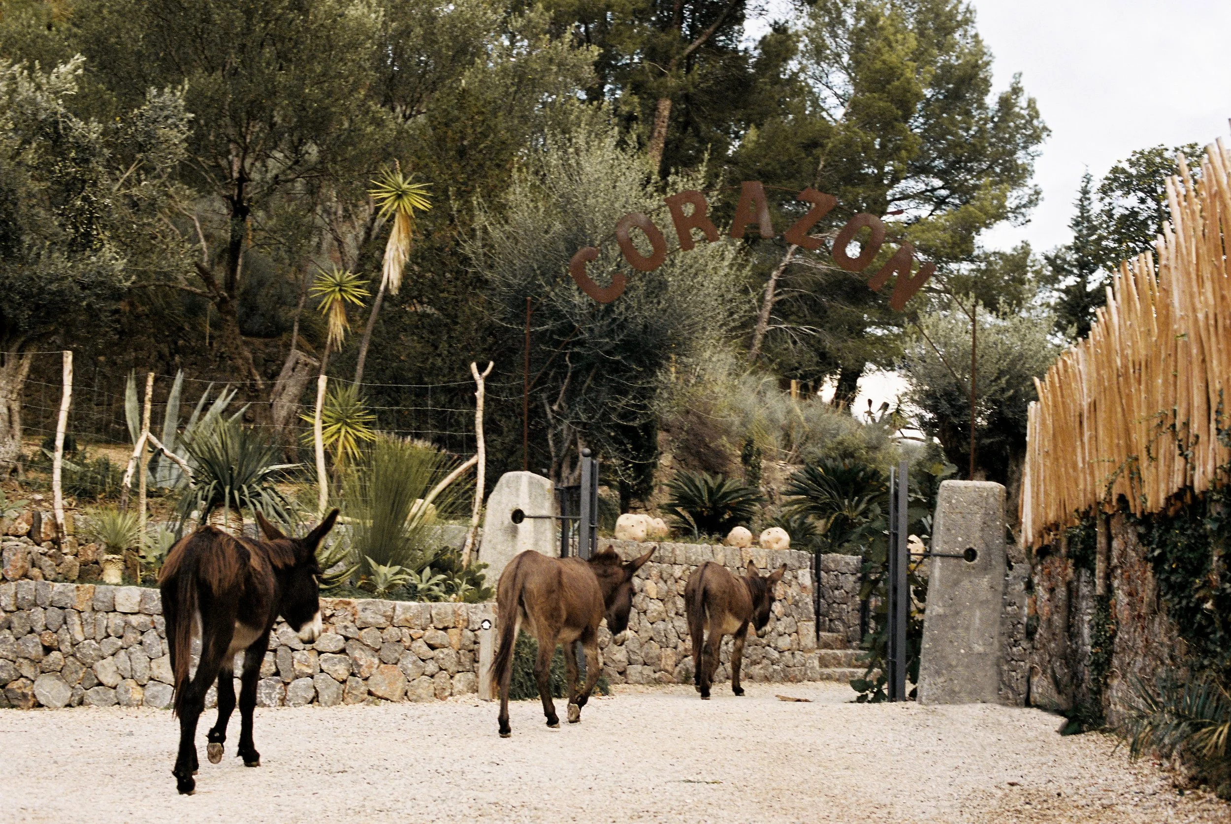 lauraprim-entrance Hotel Corazon Mallorca farm2.jpg