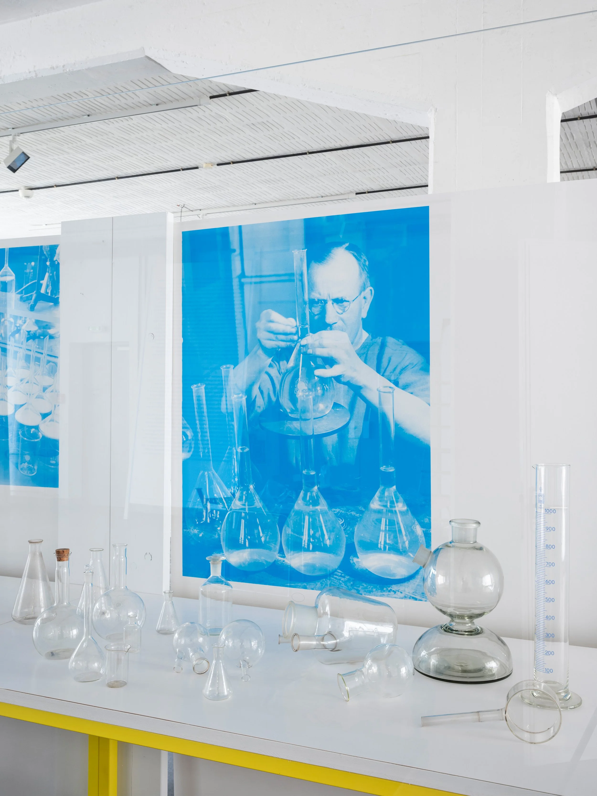 Glas_ Bauhaus 260324tm41.jpg