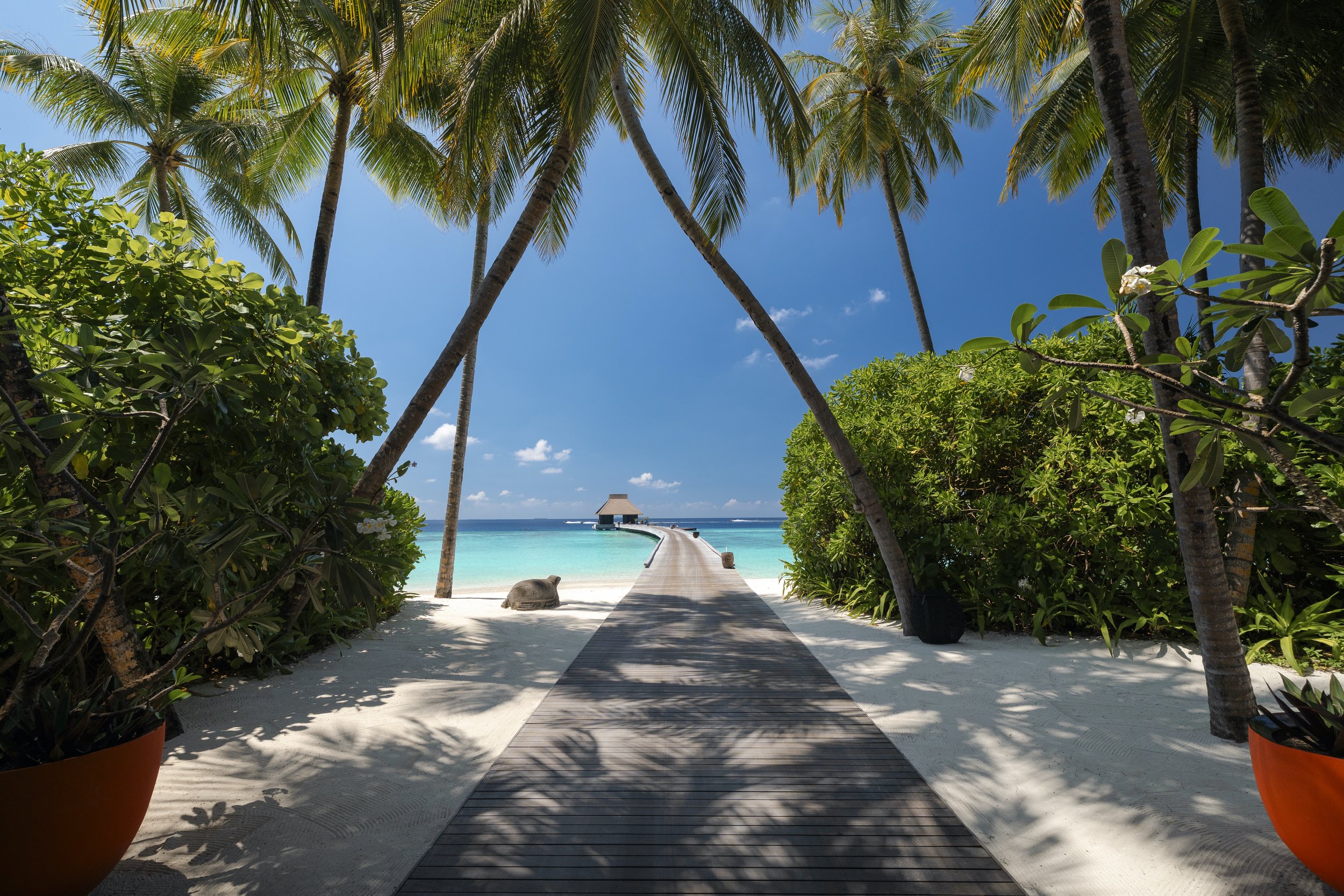 Velaa Private Island Arrival.jpg