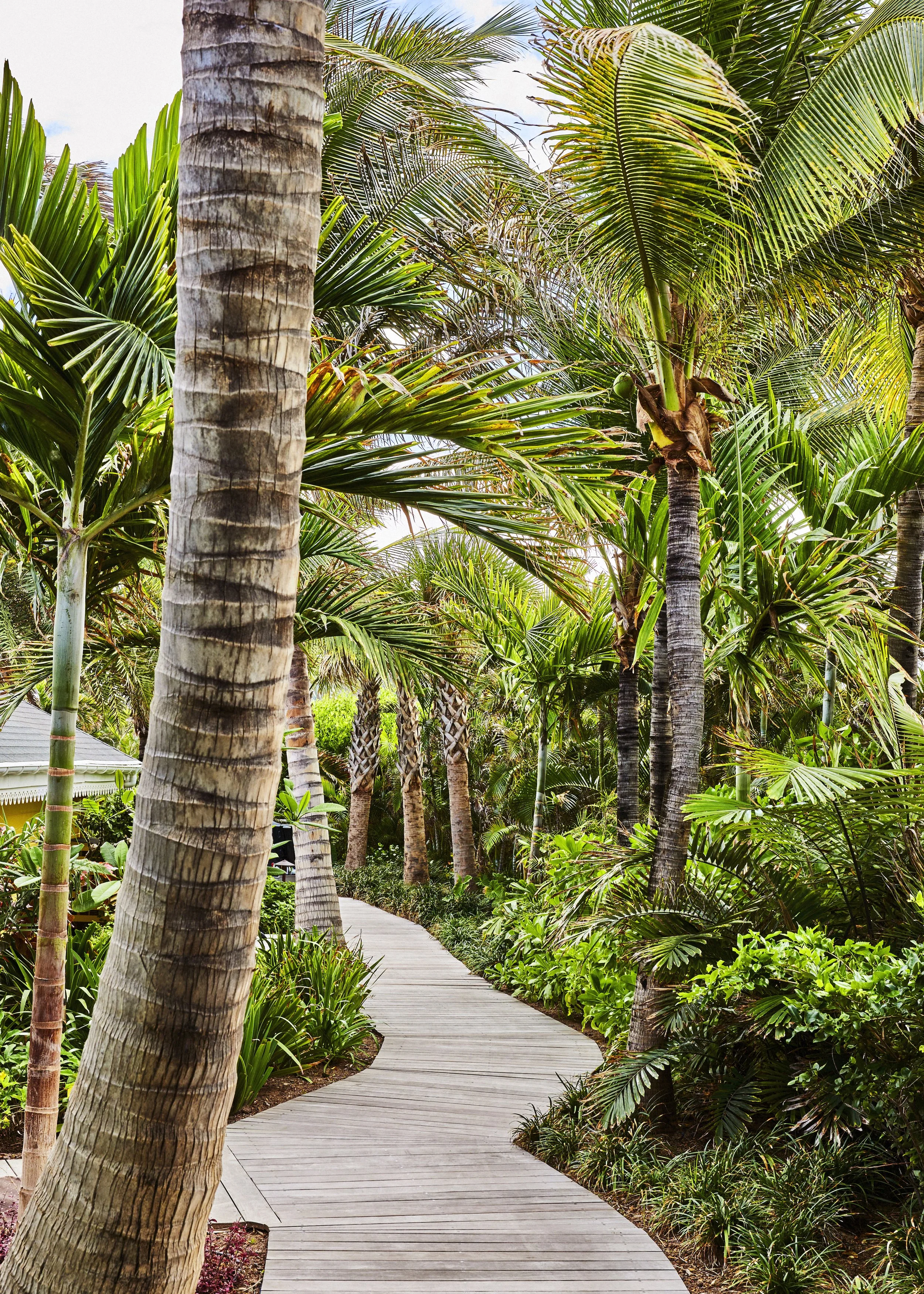 Rosewood Le Guanahani St Barth_generalview_garden_day_portrait.jpg